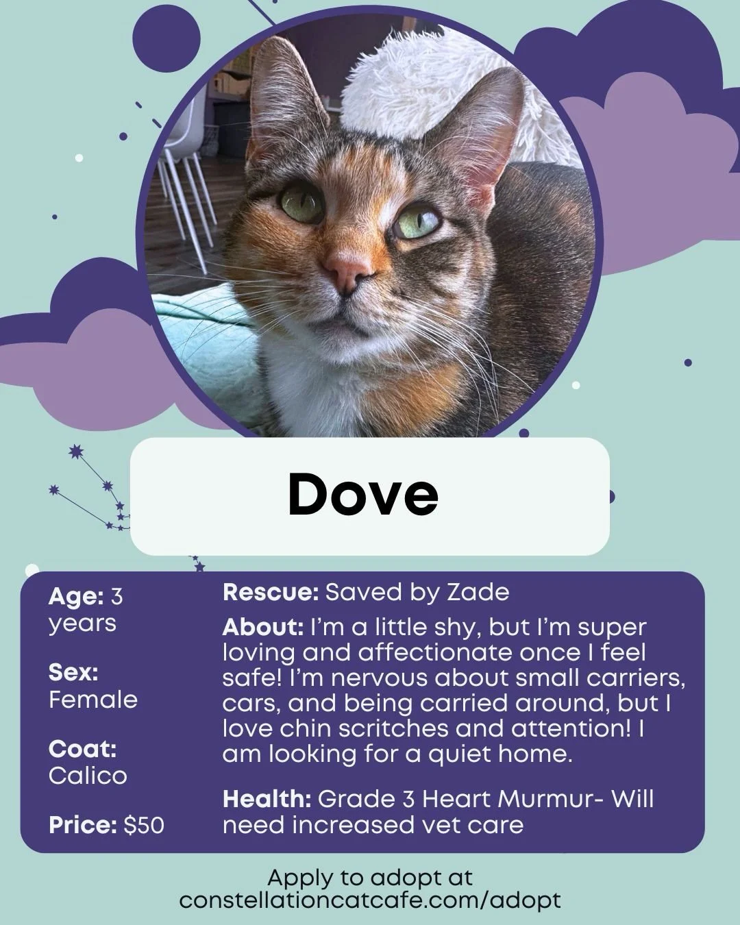 If you&rsquo;ve been thinking about adopting, start here. ✨

Come meet our adoptable cats! Book your next visit through the 🔗 in bio.