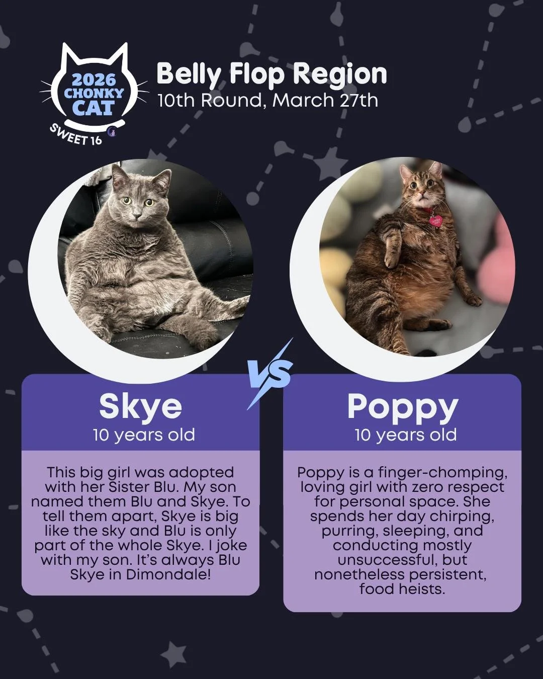 We're wrapping up the Sweet Sixteen with some adorable faces... who are you picking to advance to the Elite Eight? Voting ends on Saturday, March 28th at 10AM! Read below on how to get your votes submitted.

Today's matches are:
⭐ Skye vs. Poppy
⭐ St