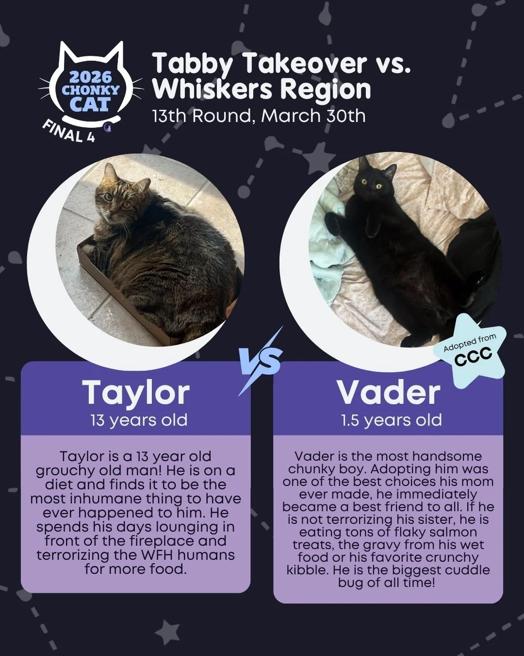IT'S THE FINAL FOUR!!! Voting ends on Tuesday, March 31st at 10AM. Semi-Finals will go live on Tuesday at Noon! Furriendly reminder: Cats advance purely on the number of votes received. Bullying cats in the comments will not be tolerated and will be 