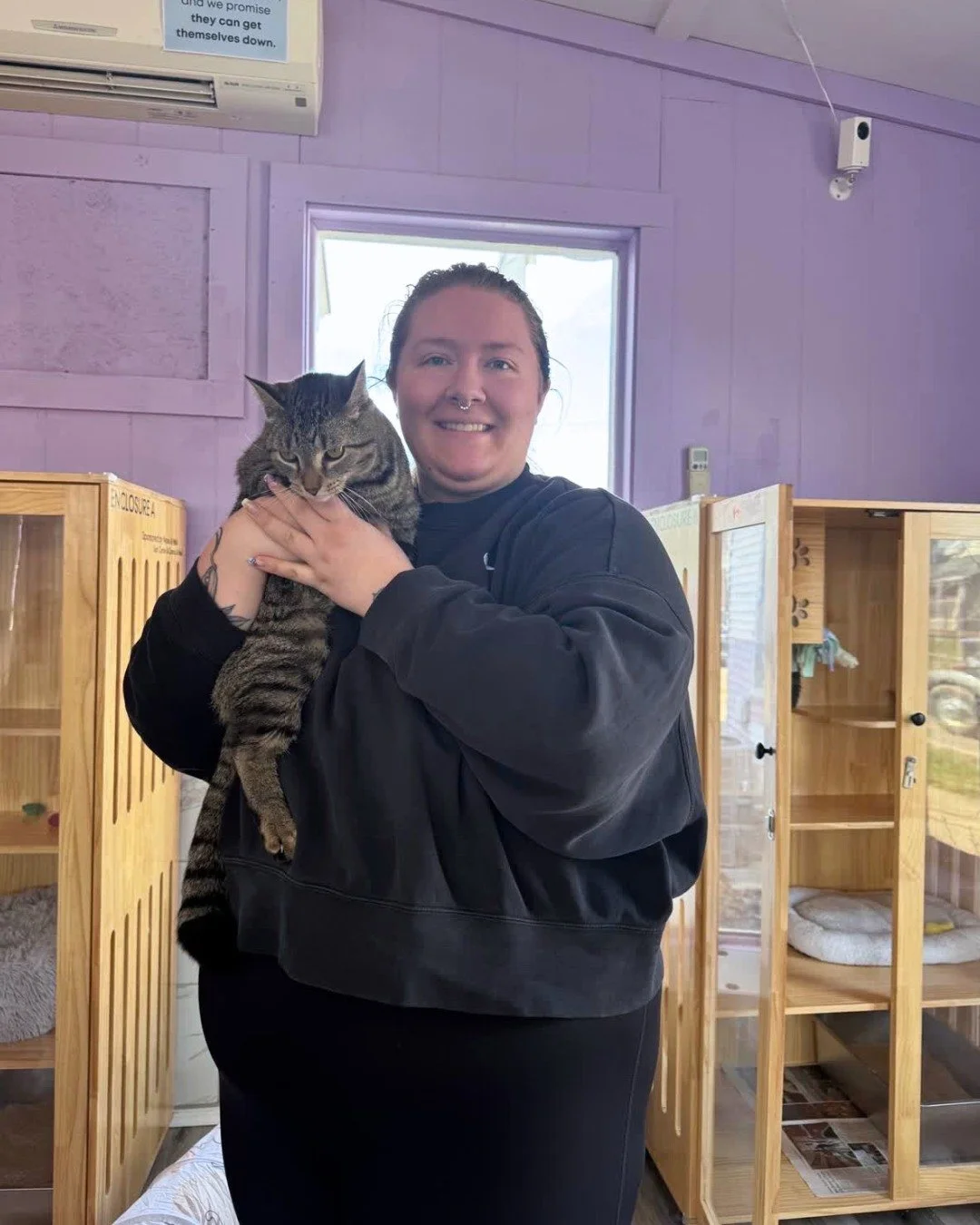 Our cats are finding their people, and we&rsquo;re making steady progress towards 3,000 overall adoptions! 💜

Congratulations to: Jelly Donut, Jello, and Gumdrop, and Gnome

Not-pictured: Star Phoenix, Pumpernickel, and Layla Cash

Adoptions #2900 -