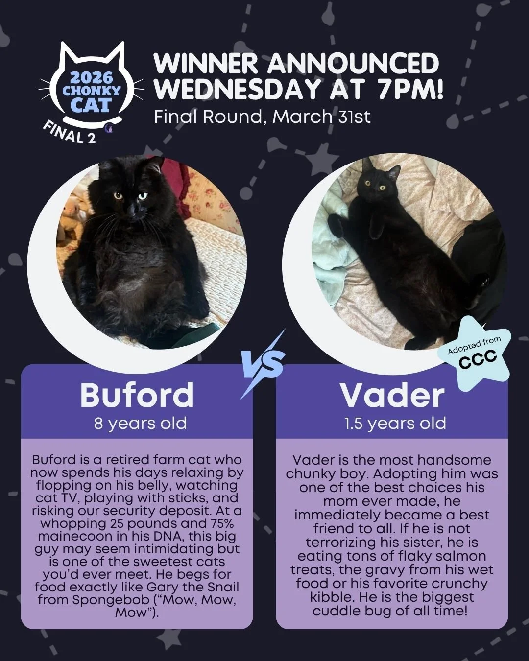 It's the Final Round, can you believe it?! We love seeing the black cat representation for the toughest match up yet! Voting ends on Wednesday, April 1st at 10AM, and winner will be announced on socials at 7PM. Read below on how to get your votes sub