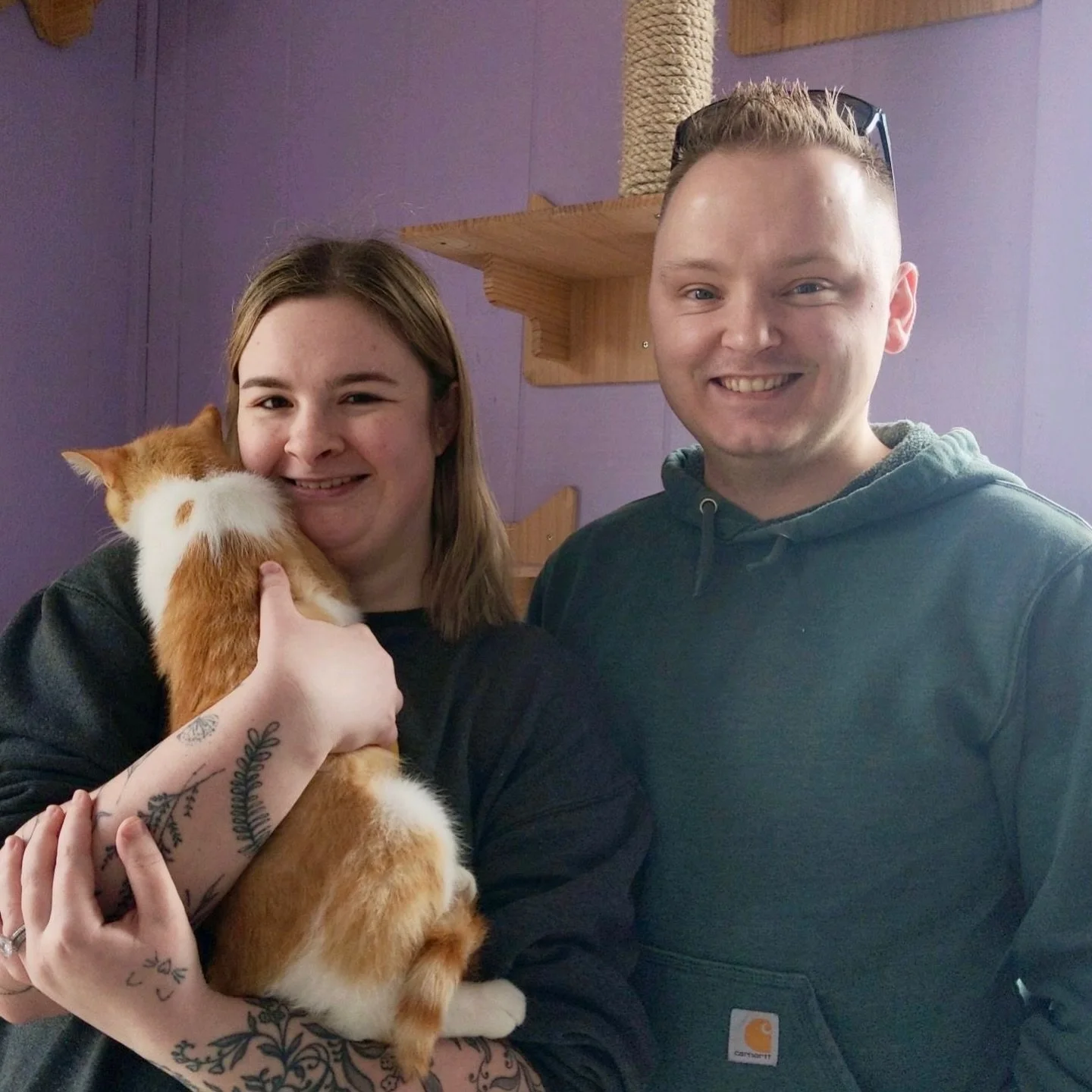 3,000 completed adoptions are on the horizon, and our cats are doing what they do best finding their people. ✨

Congratulations: 

📸: Teddy, Eggs Benedict, and Gene &amp; Valbee! 

Not pictured:  Gene from Accounting and Dove (🥳)! 

Adoptions #2906