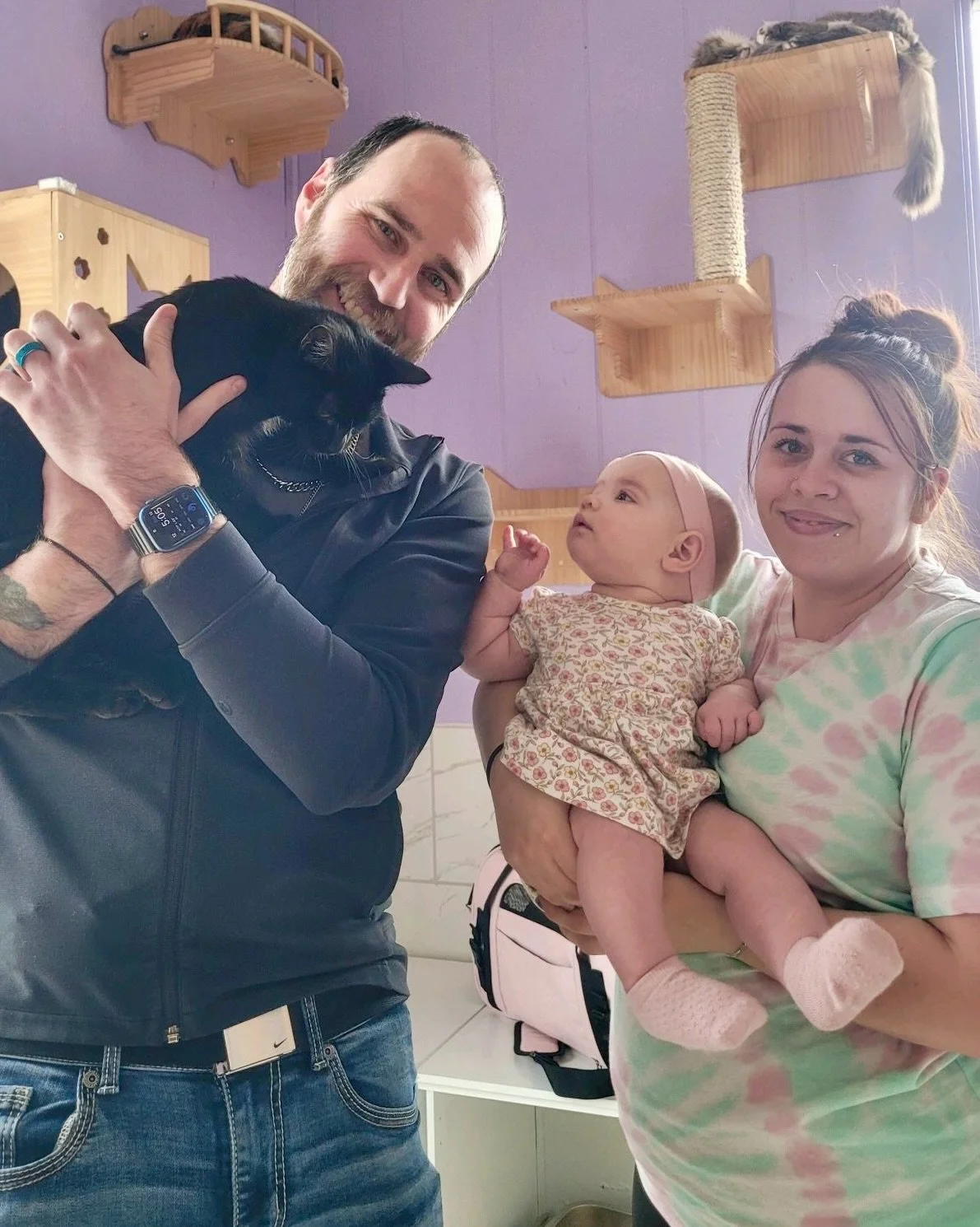 Another round of adoptions, another group of cats starting fresh. 💜

Congratulations to: 

📸: Obsidian Wood, Tissel Moe &amp; Starry Moe, Pantaloon, Bellissimo, and Indy! 

Not-pictured: Cloud Phoenix, Ivy, Road House, Dwight Gratiot, and Bela Lugo