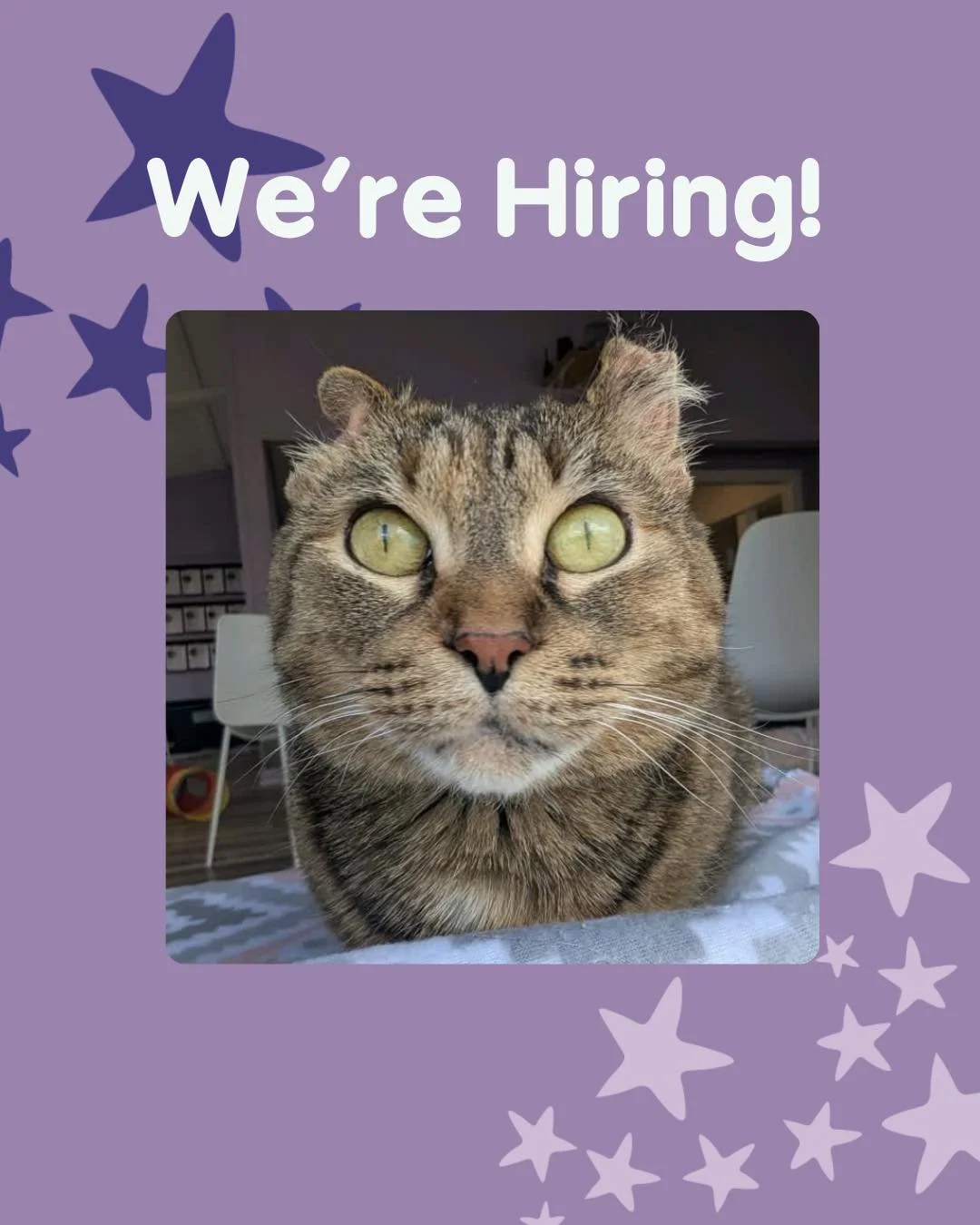 We&rsquo;re looking to hire a new Purrista here at CCC! 💜

As a Purrista, your main responsibilities would be purrparing drinks, helping visitors book appointments, and processing cat adoptions. Purristas play a huge role in fulfilling our mission b