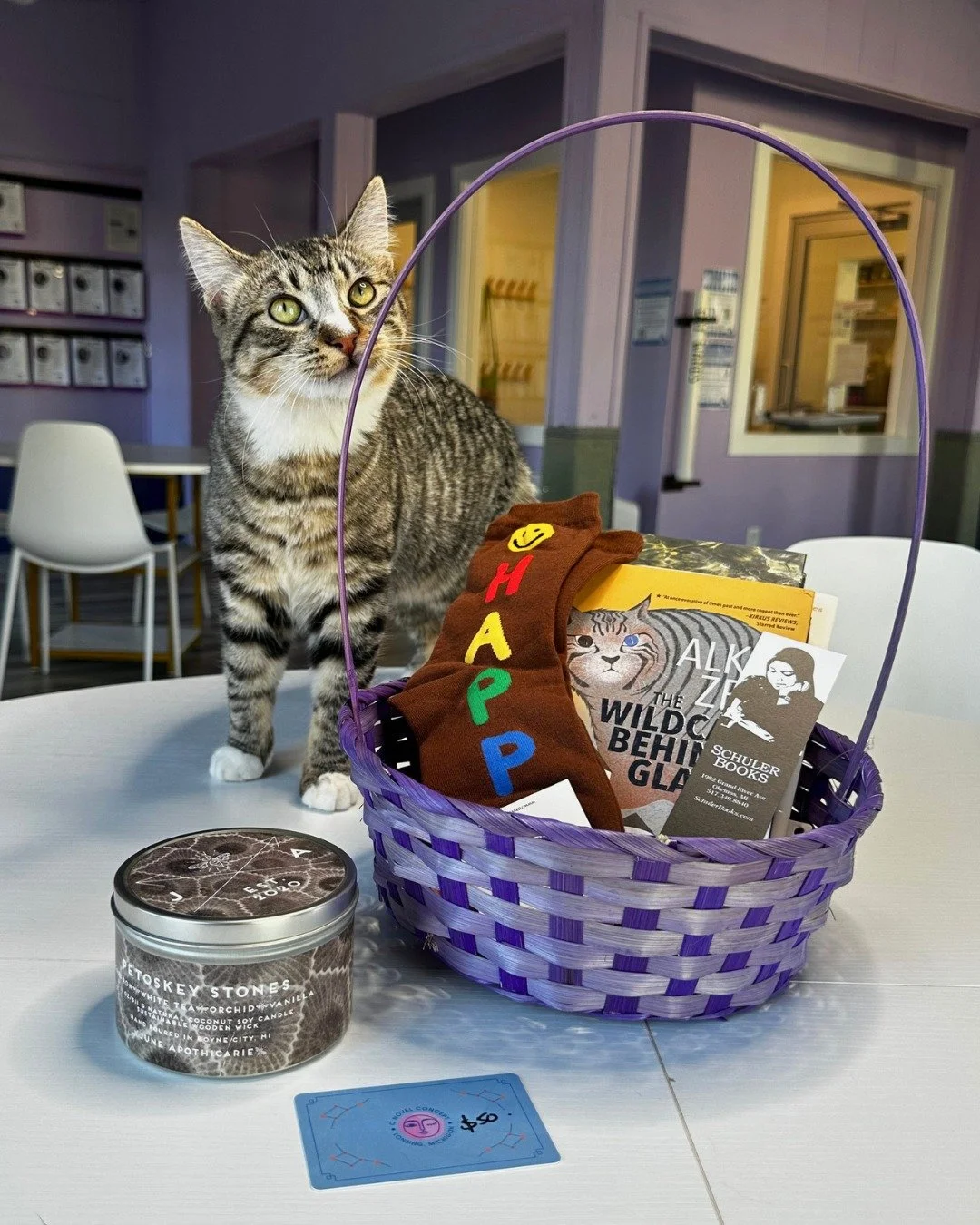 Rubble is helping us get together a basket for our upcoming Spring Auction! ✨

Starting Monday, May 18th our Spring Auction will feature a wide array of quality gift baskets that give back to cats in our community. This is a fully online event that w