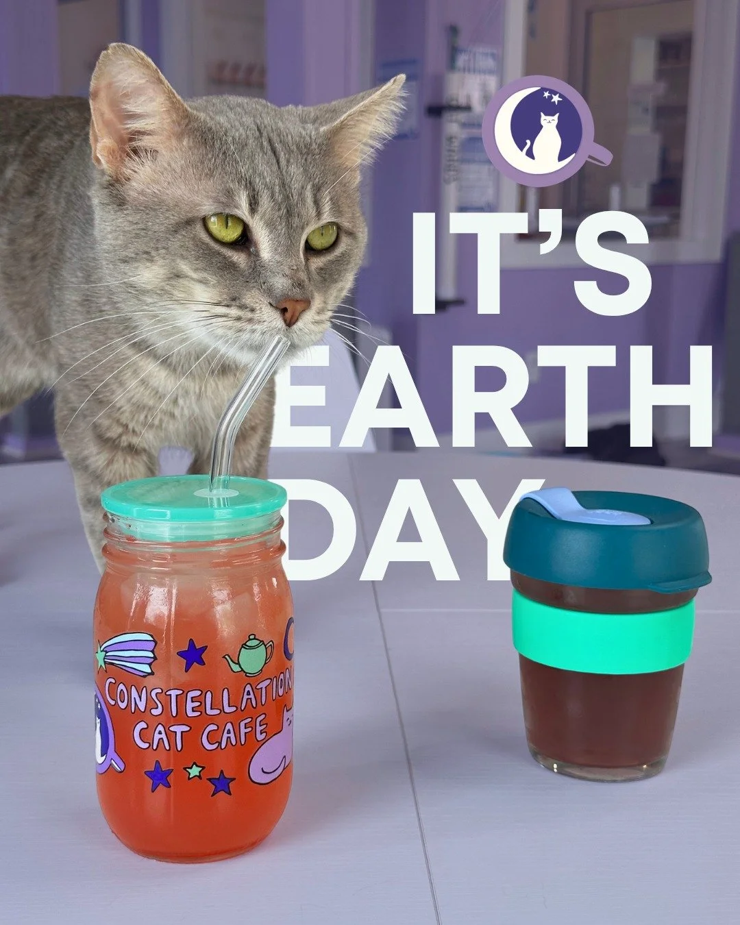Happy Earth Day! 💜

Our cats are celebrating with specialty lemonades purrfect for a walk in nature. Stop by to grab one for yourself, and bring a reusable cup to the cafe and receive $1 off your drink today and everyday. 

Need a reusable cup? CCC 