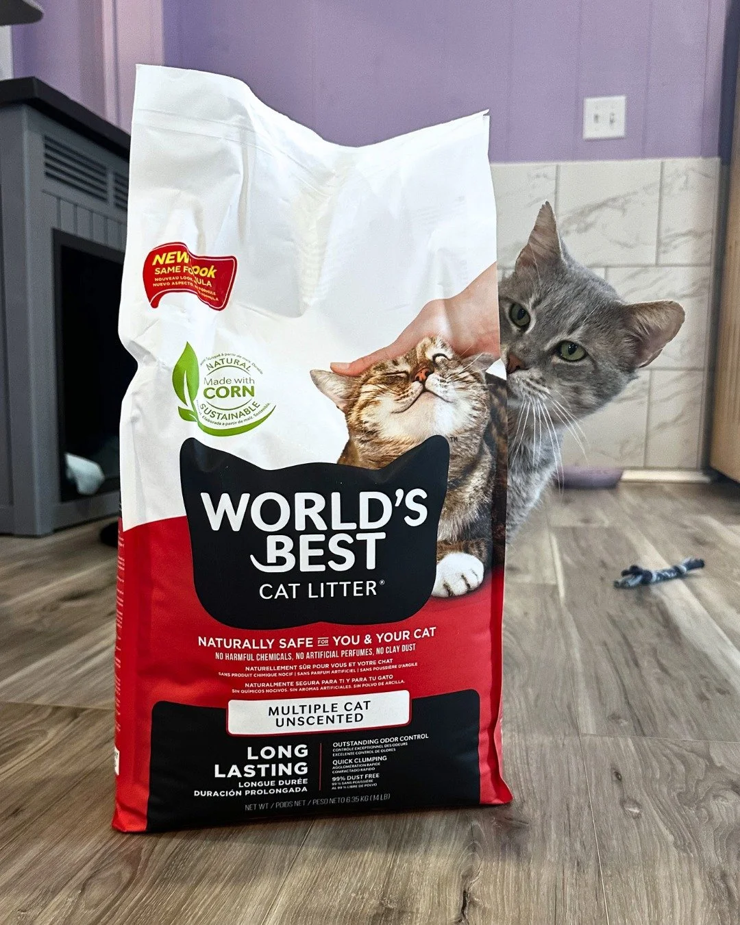 Our cats love being a part of the #givelitter program! 💜

If you're looking for a sustainable litter option for your favorite kitty, we'd recommend @worldsbestcatlitter  for clean floors and a happy cat.