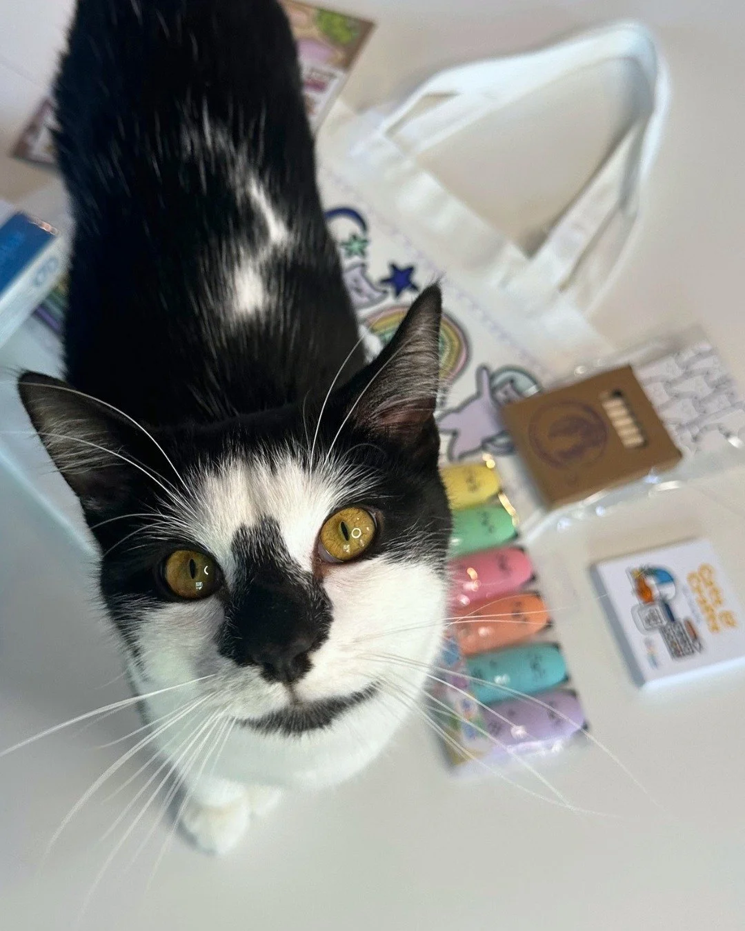 Looking for a new cat craft? ✨

From diamond art to bookmarks, our cafe store has plenty of crafts your kitty would love to help (and by help, yes we do mean sitting on your craft and making the pawcess take longer while being super cute) with!

Sit 