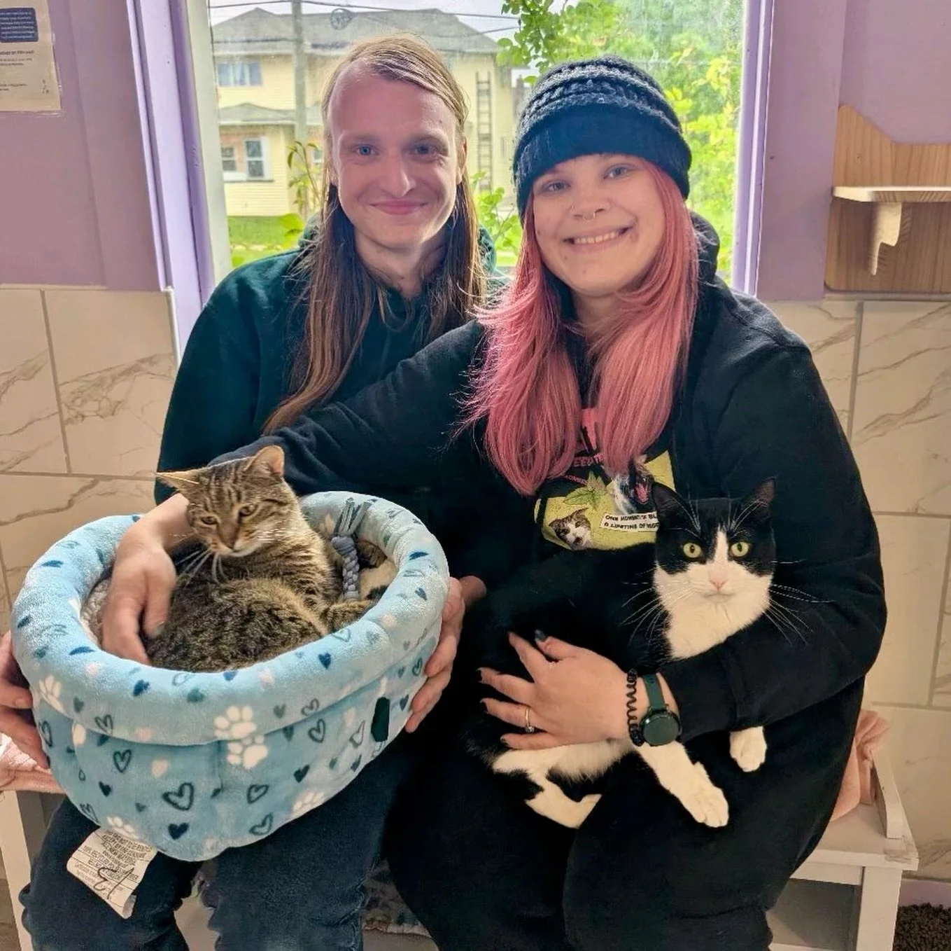 Some recent cafe graduates. 💜

Congratulations:

📸: Wile E. Coyote &amp; Mr. Rogers and Cotton Wool Blanket &amp; North Wind!

Not pictured: Trapped Keeper and Daffy Duck! 

Adoptions #2937-2942.

We&rsquo;re getting close to 3,000 adoptions, and w