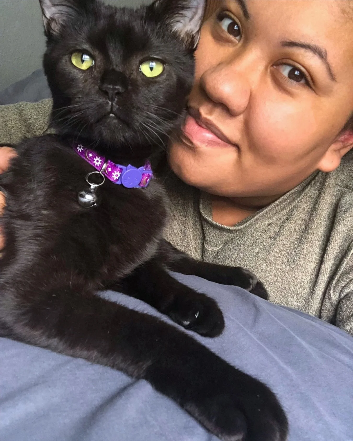 They say when it rains it pours. Over my 5 years working at Constellation Cat Cafe, I have dealt with my fair share of emergencies, but the last 3 days definitely tops the list. Today a small gas leak was discovered in our basement. My #1 concern is 