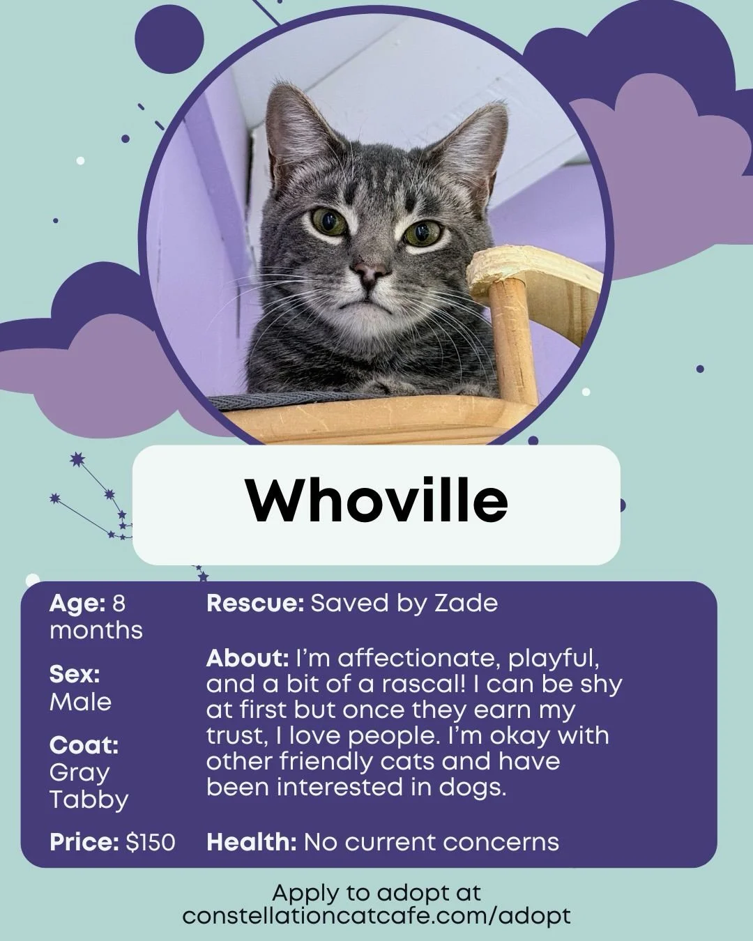 Your scroll brought you here for a reason. 😺

Visit our website to meet our adoptable cats and submit and adoption application!
