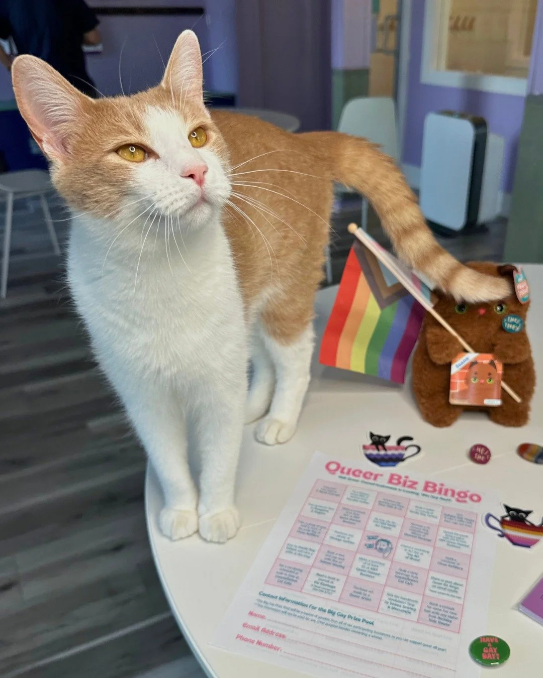 This Pride merch saves rescue cats! 🏳️&zwj;🌈

CCC is furever proud to be an inclusive space that helps cats find homes. We're so excited to be included in this year's Queer Biz Bingo (hosted by our friends at @dearollieandco)! 

Stop by the cafe to
