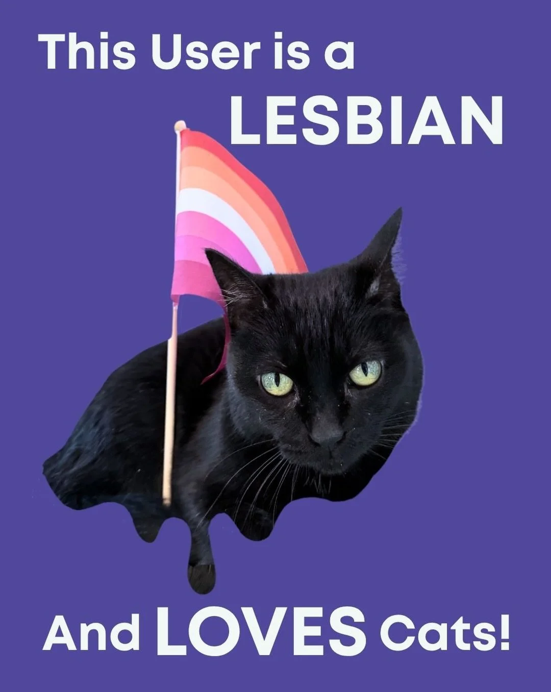 Pride comes in many colors, just like our cats. 💜

Visit the cafe to shop pride flags and hang out with our cats! 

🐱📸: Annie Banani (adoptable) , Dewdrop (adoptable), Kismet (adoptable), Roger (adoption #2959) Nova (adoption #2958), and Window Se