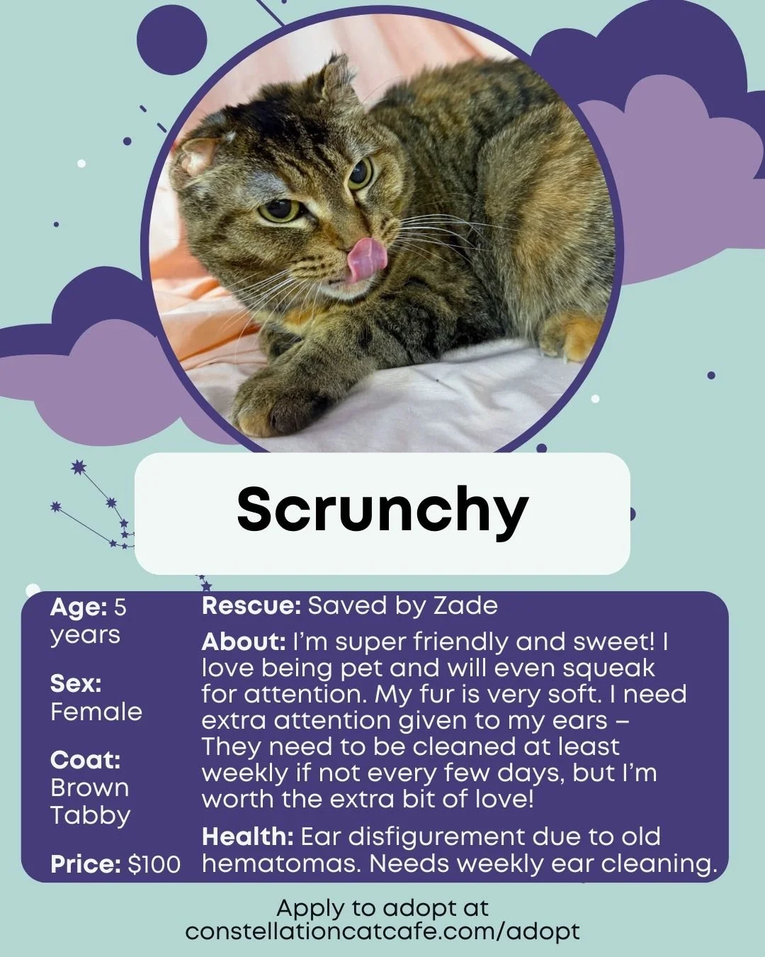 Scrunchy.jpg