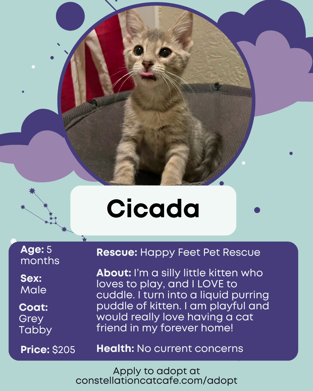 22.png