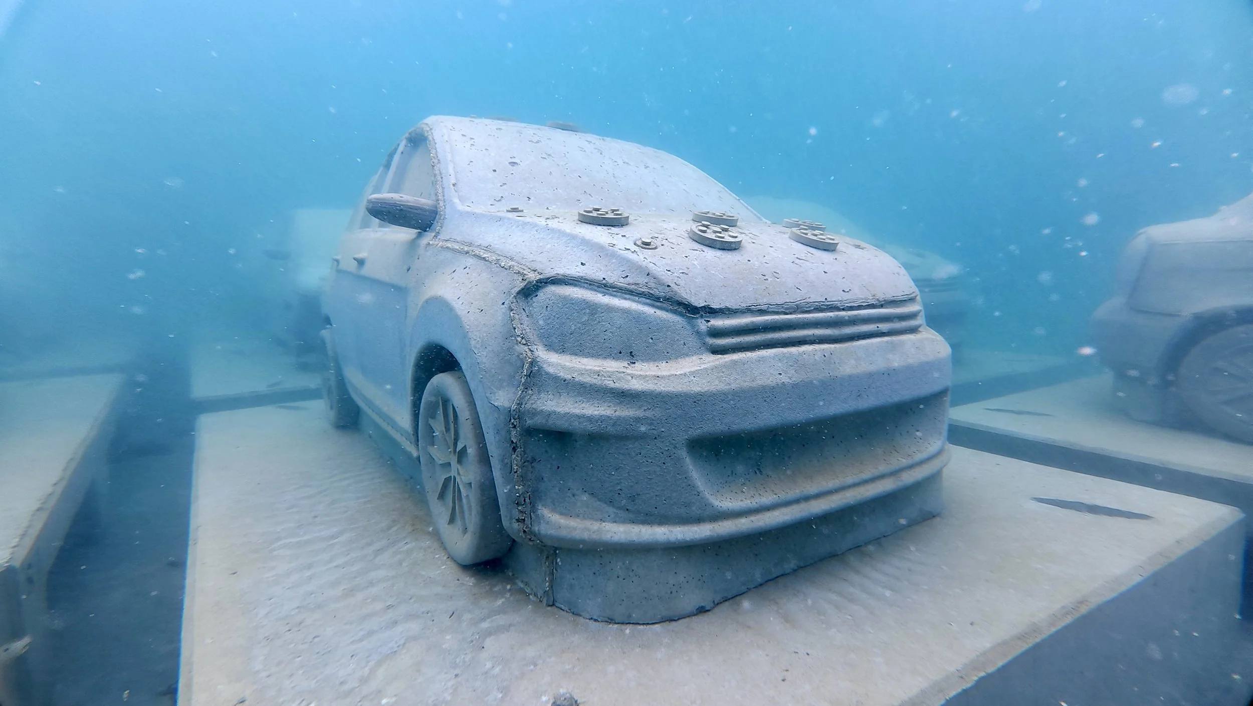 ConcreteCoral. Courtsey of Christopher Uriarte.JPG