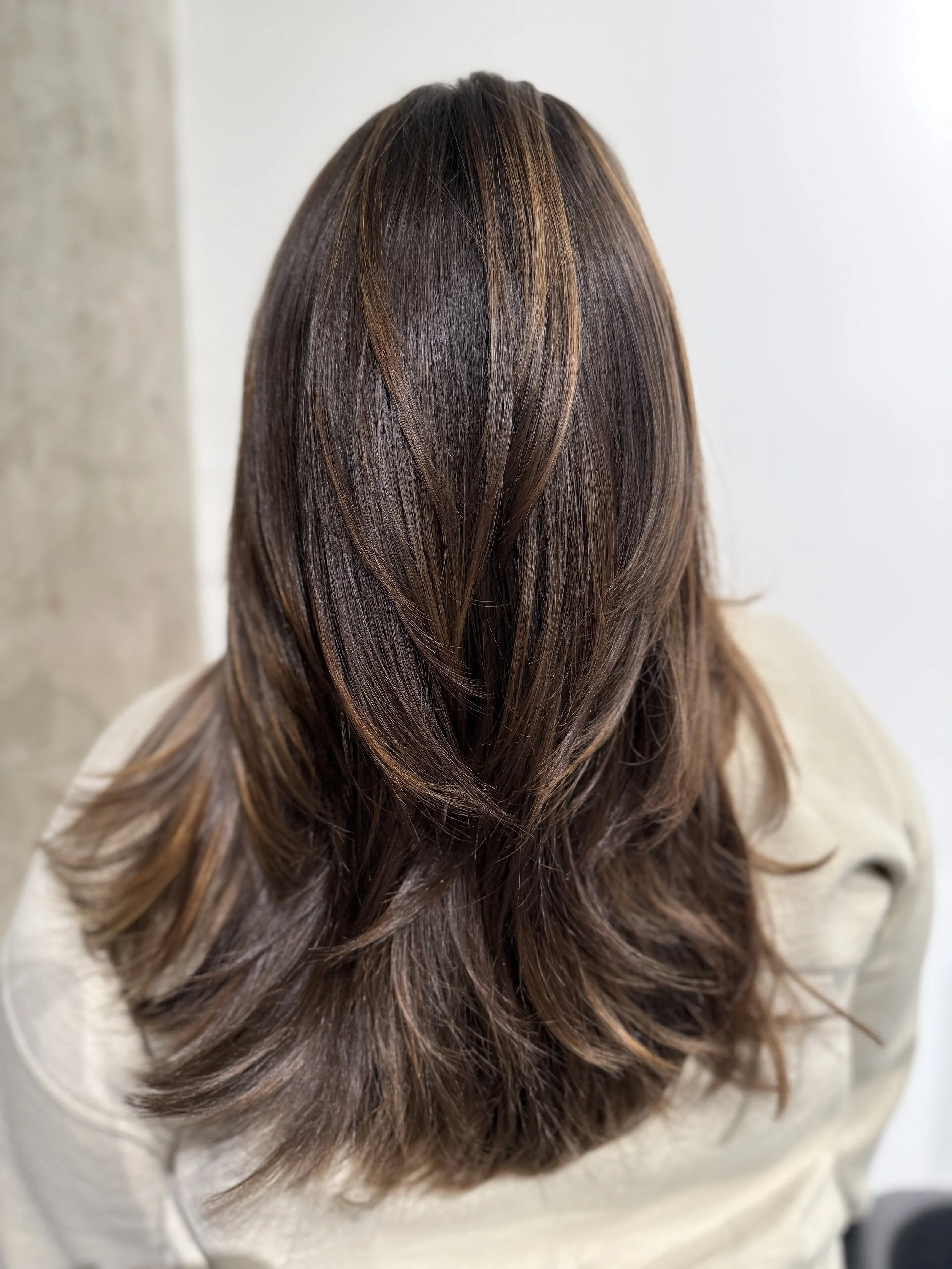 Glossy dimensional brunette fall hair color at Gem House Salon in Greenpoint Brooklyn