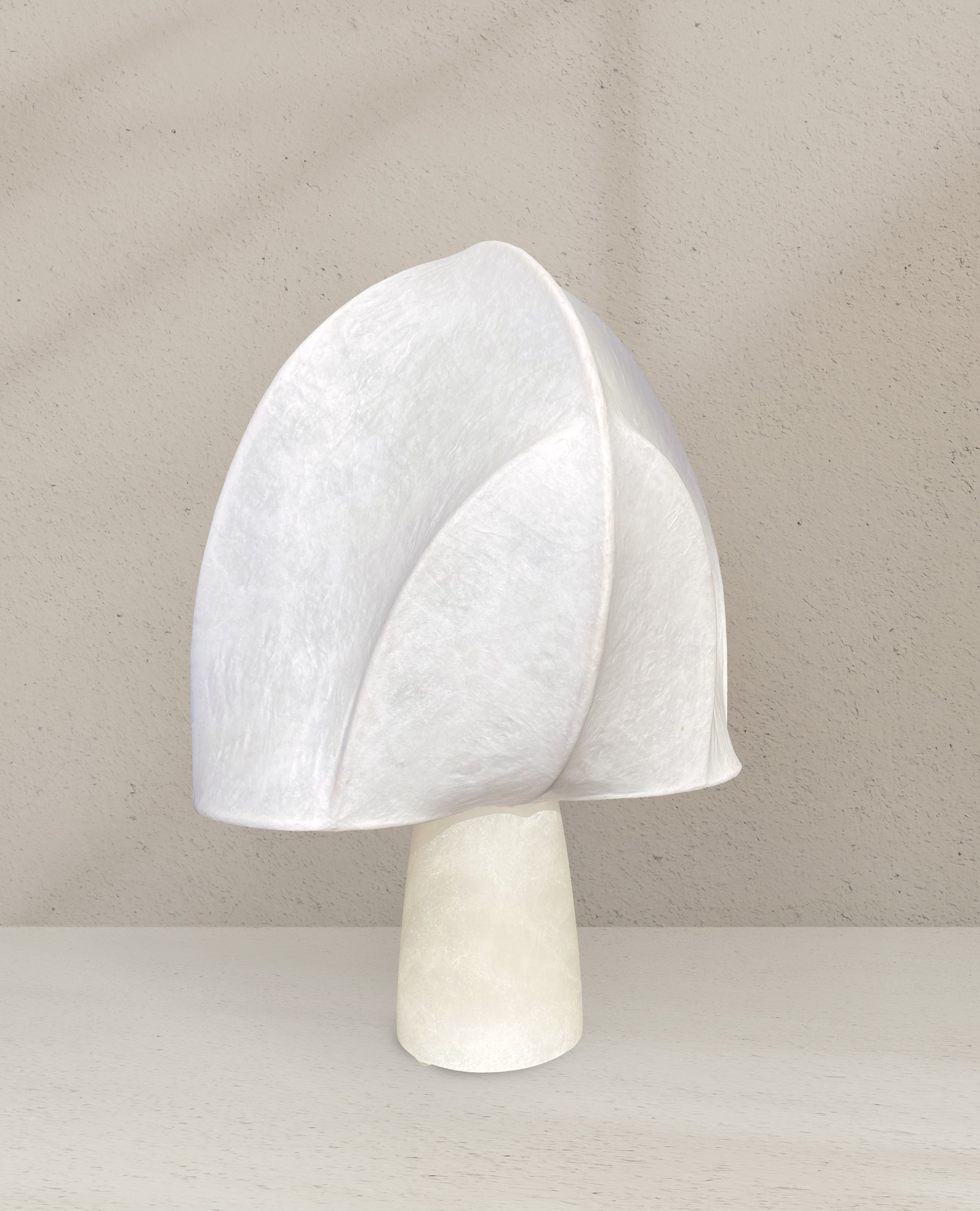 AMANITE 2 - ETEINTE - CECILE PHILIBERT.jpg