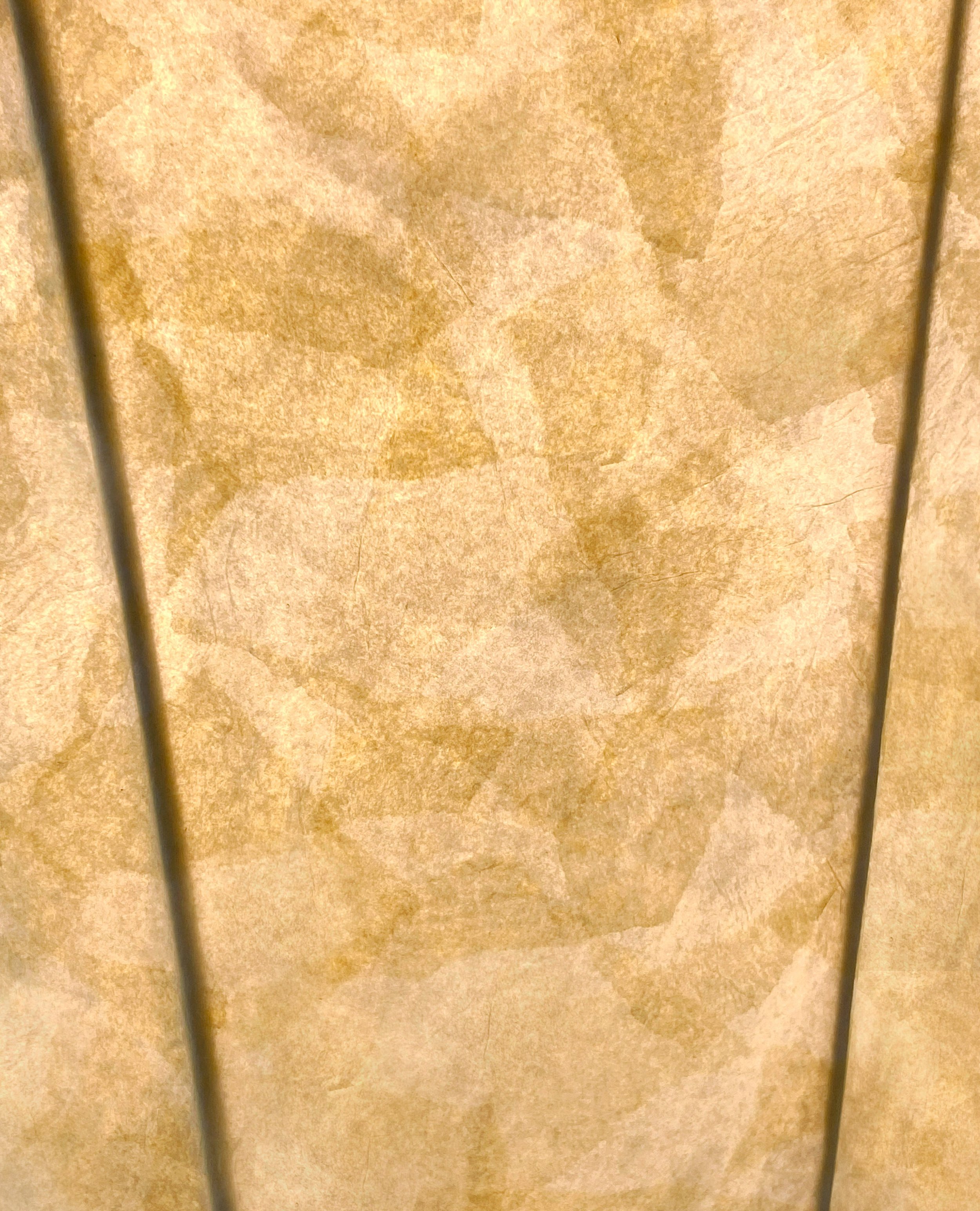 CHRYSALIDE - ZOOM 1- CECILE PHILIBERT.jpg
