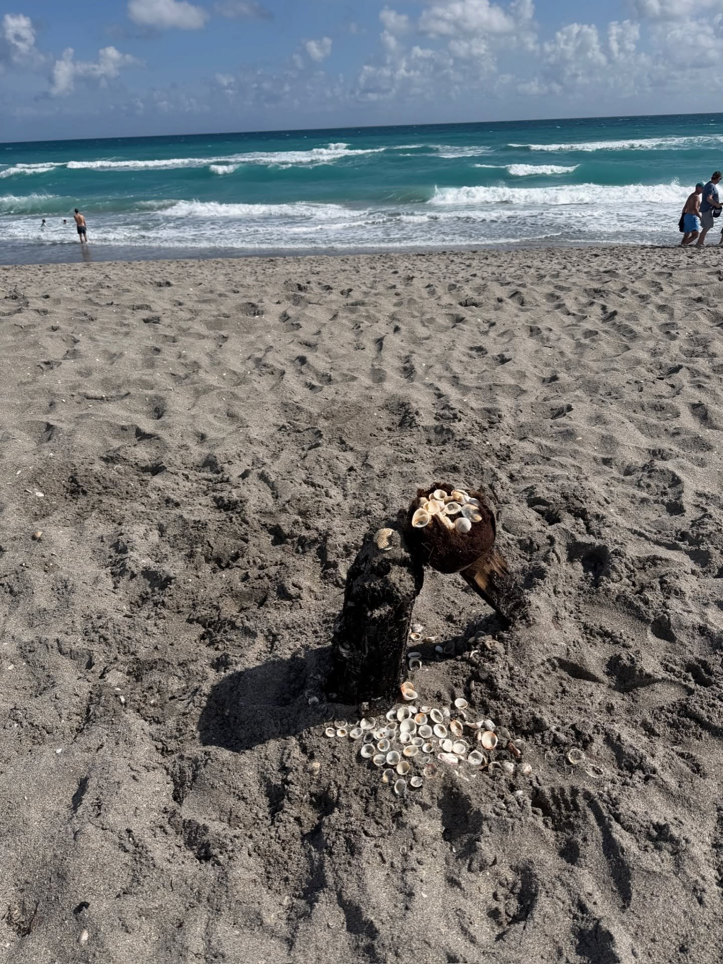 A small moment on the beach. Driftwood and shells arranged in a totem by the tide.

As a designer, I pay attention to how natural materials carry history. Each shell and piece of driftwood holds the imprint of salt, currents, and time. Materials shap