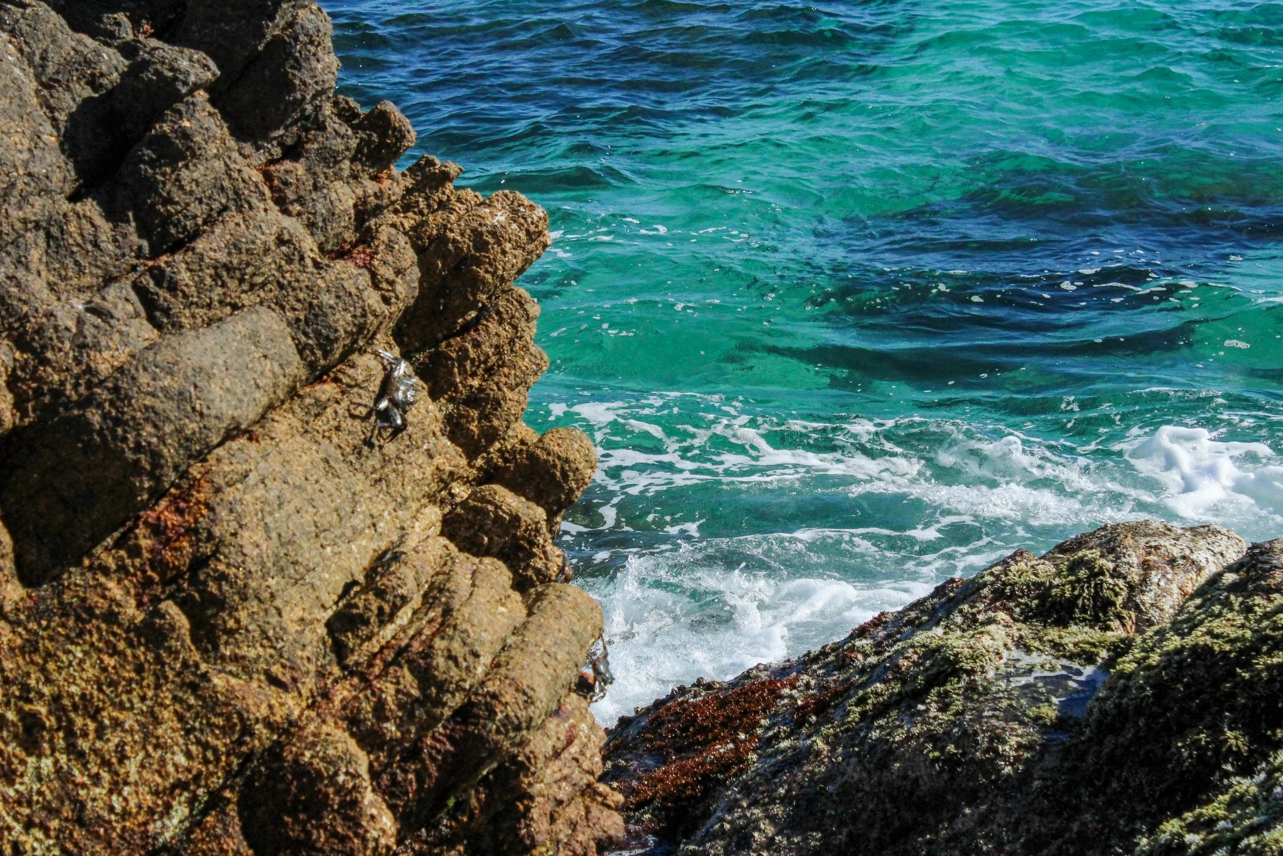 Pared de rocas junto al mar con agua turquoise con olas y algas en la superficie
