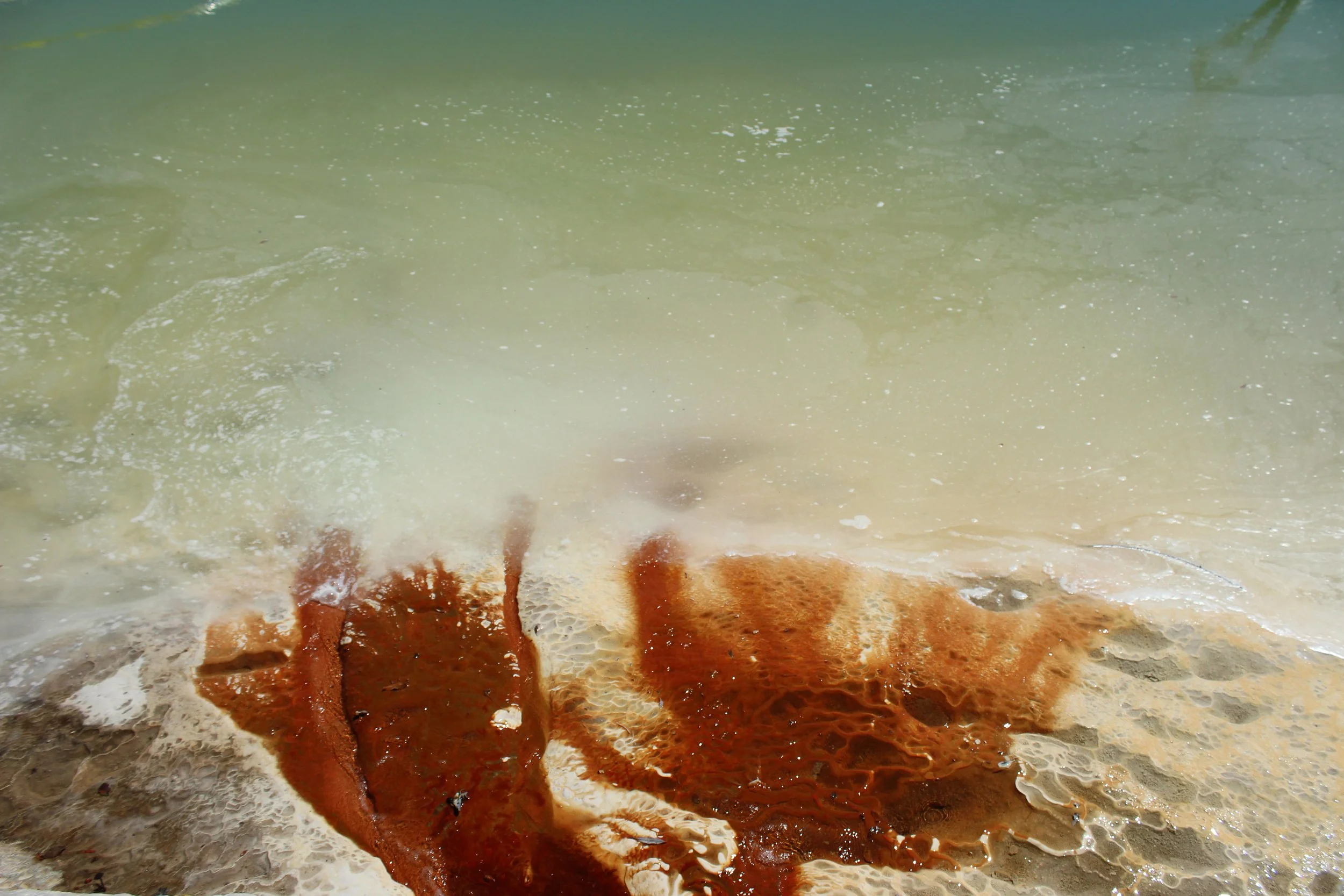 Agua de mar con manchas de algas rojas en la orilla.