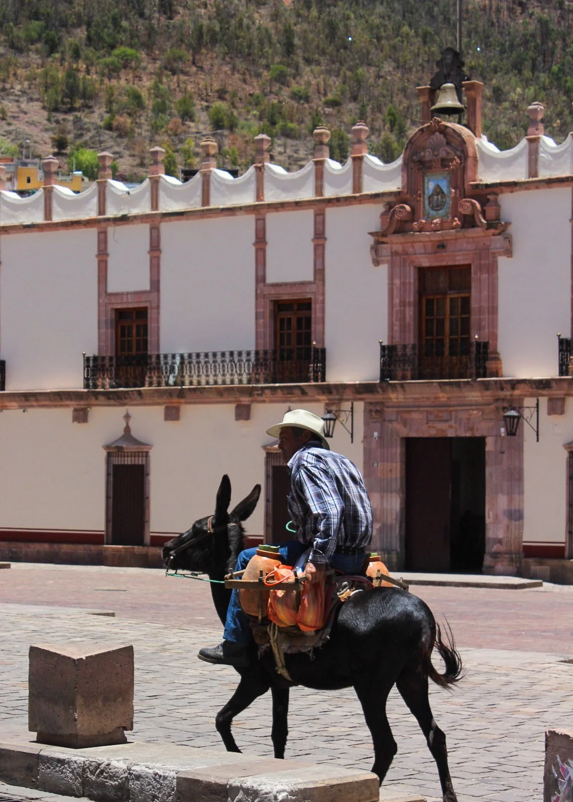 Hombre montando un burro en una plaza con edificio colonial en el fondo.