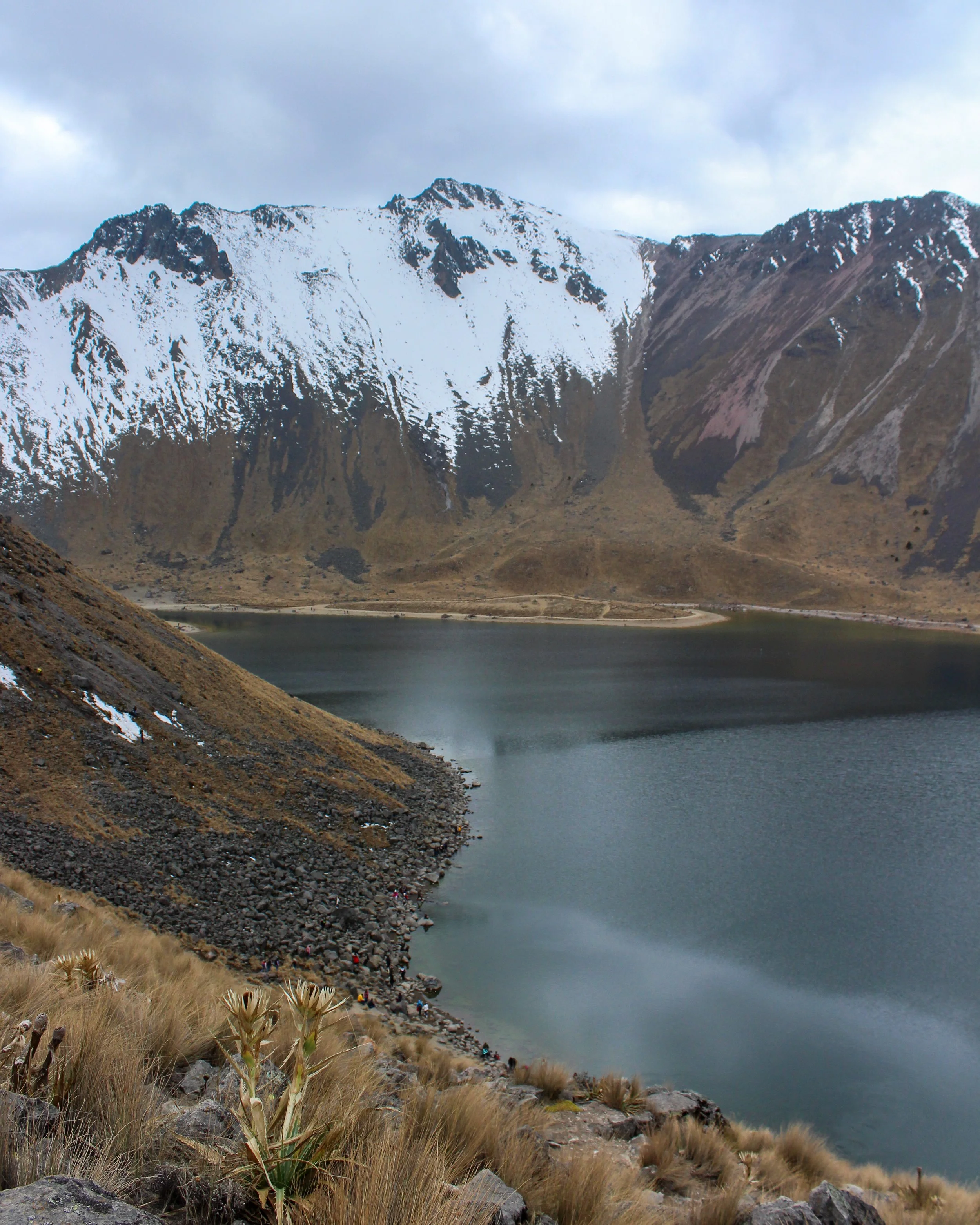 Paisaje de montañas con nieve, lago y vegetación de pasto en primer plano.