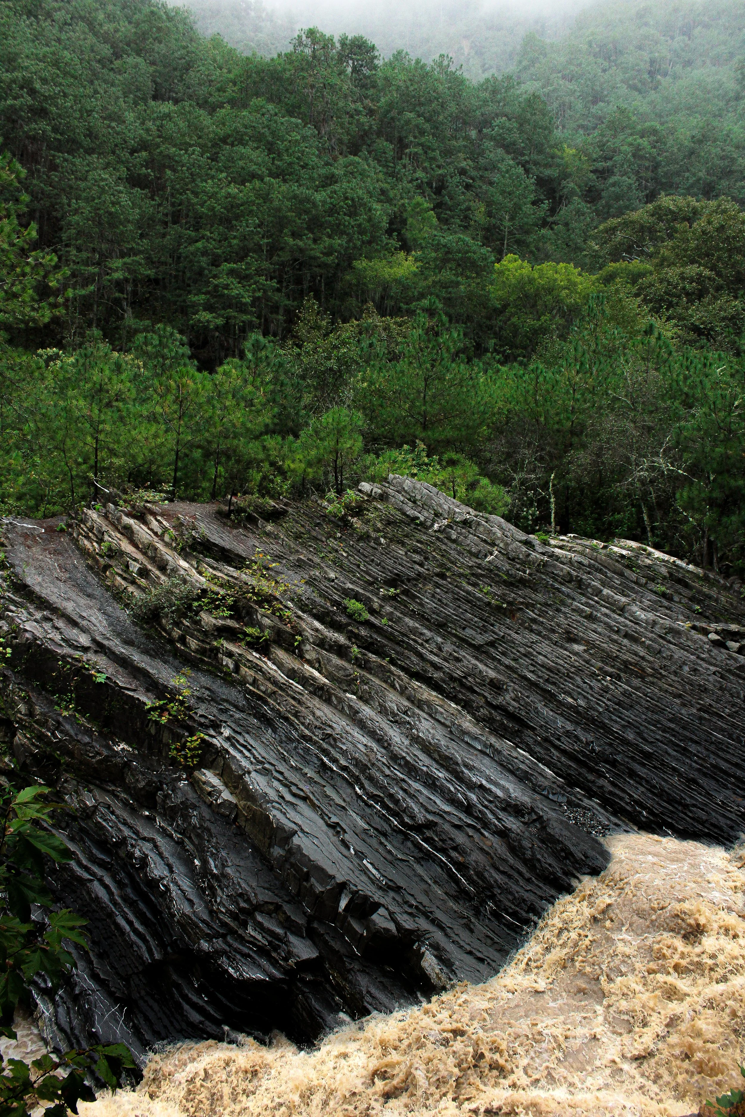 Un río de agua marrón turbulenta pasa sobre rocas escarpadas y bosque de árboles verdes en una zona montañosa con niebla en el fondo.