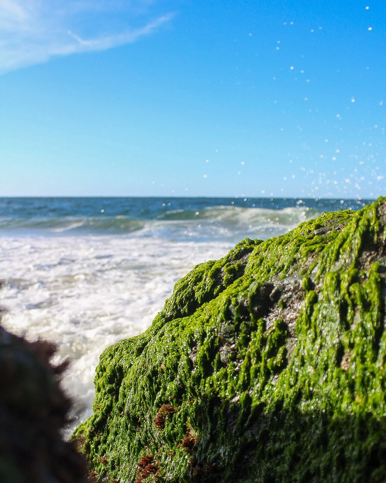 Piedra con musgo verde en la orilla del mar con olas y cielo azul en el fondo.