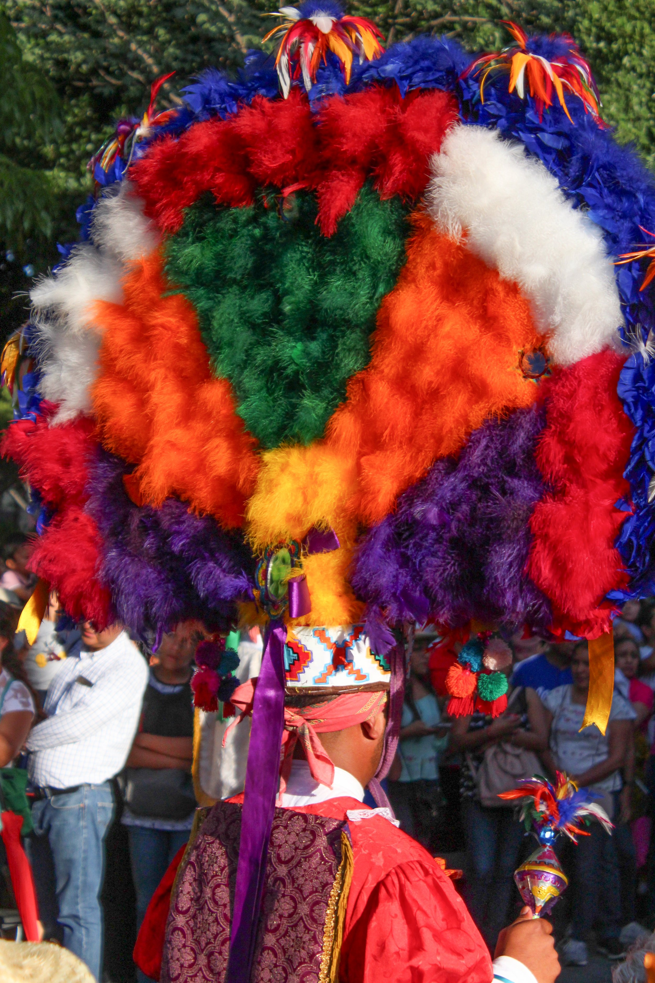 Una persona vista de espaldas, vestida con ropa tradicional, sostiene un asta decorada con plumas y cintas, llevándose a cabo un festival con muchas personas observando.