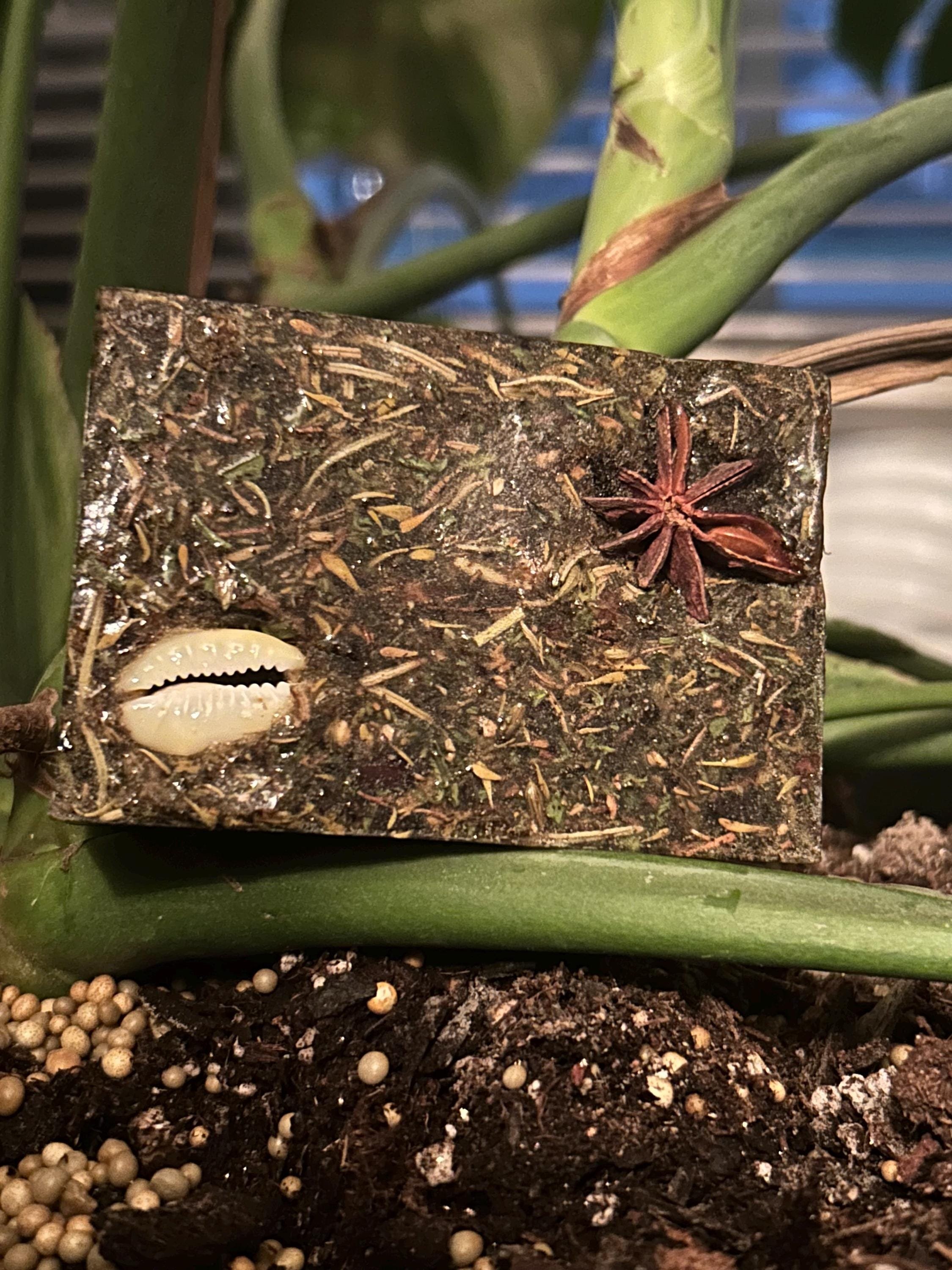 https://i.etsystatic.com/23595758/r/il/87b582/6497265116/il_fullxfull.6497265116_ebhp.jpg