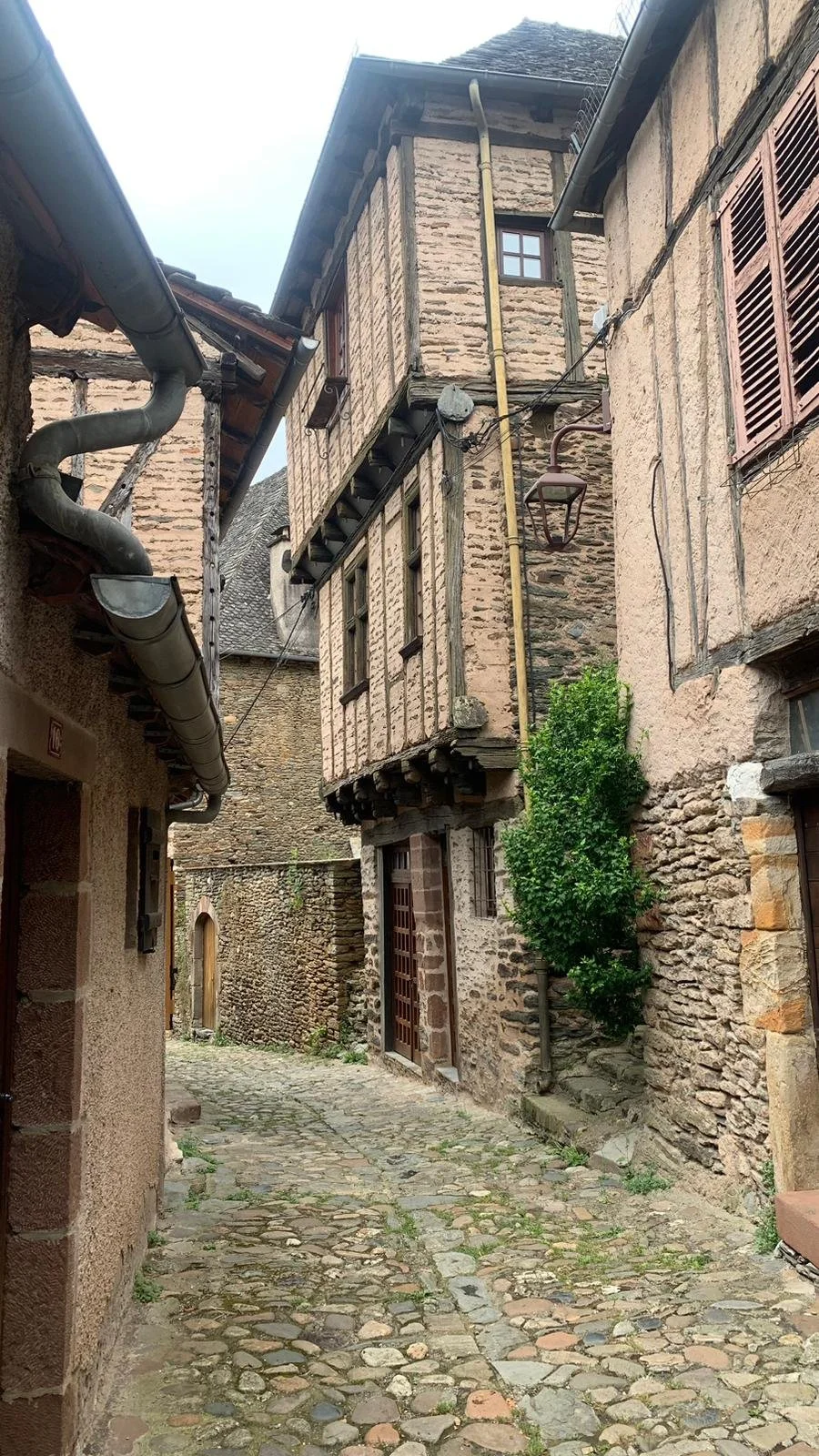 camino3.jpg
