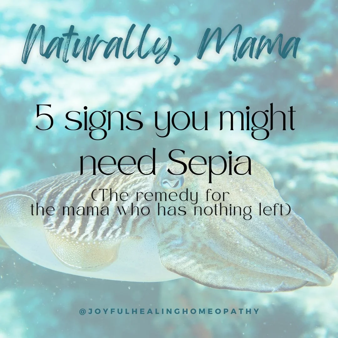 Sepia is the reason I became a Homeopath. It changed my life. 

It is the remedy for the mama who has given everything and has nothing left.
Sepia is one of the most profound and important remedies for women in the postpartum period.
It is deeply ind