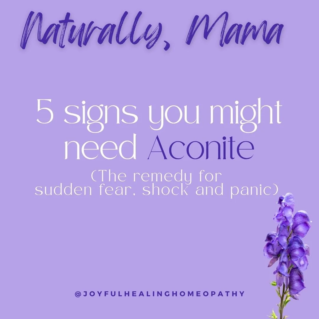 Meet Aconite or Aconitum Napellus - one of the most powerful acute remedies in homeopathy, and one that I reach for in very specific, very important moments in the post partum journey.
Aconite is a remedy of sudden onset. Everything that calls for it