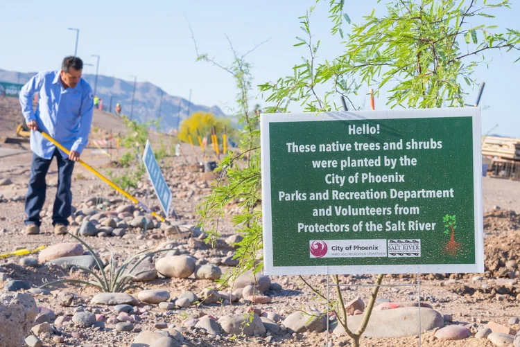 Tree planting along the Salt River