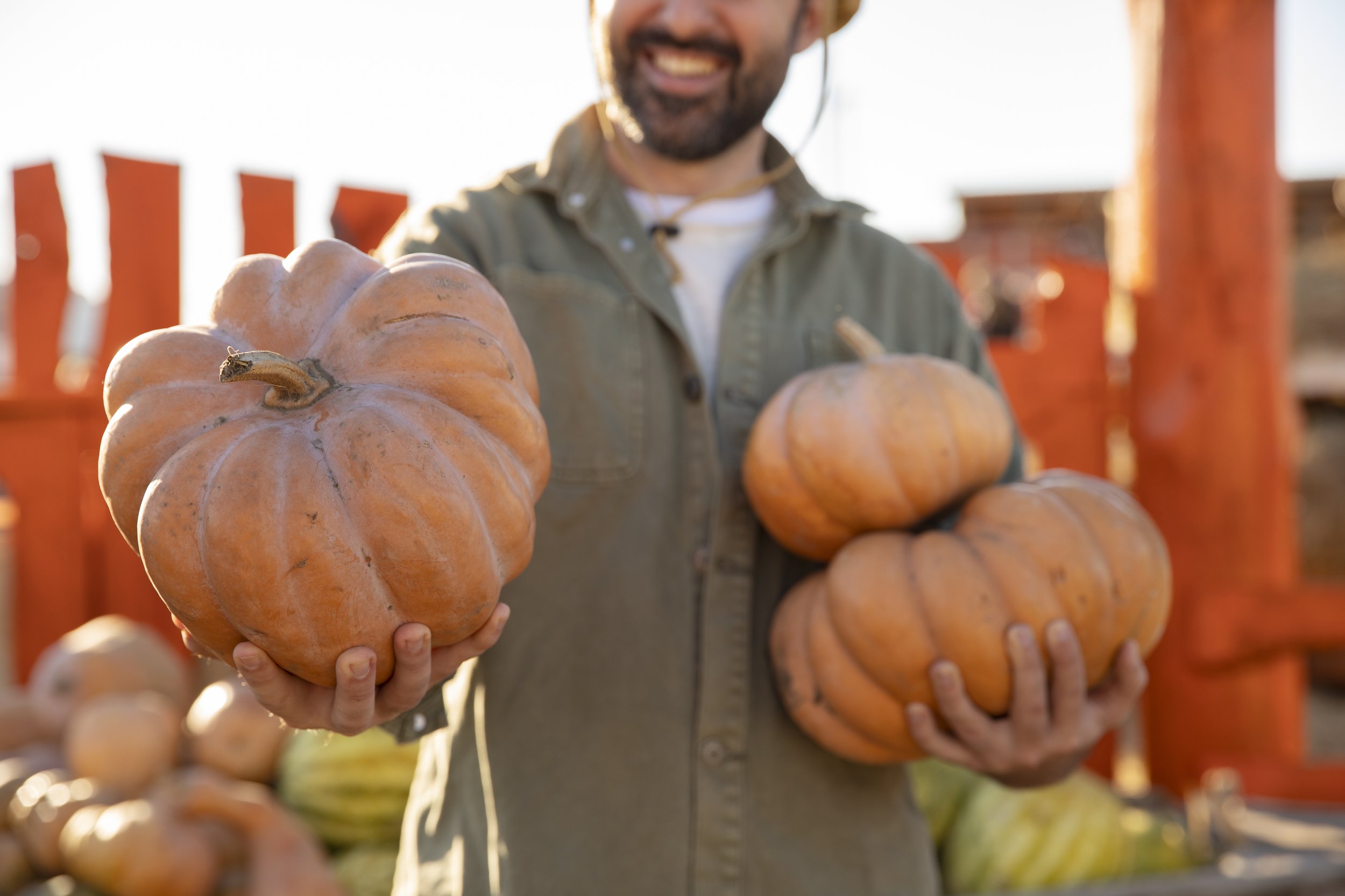male-farmer-holding-pumpkin-harvest-farm.jpg