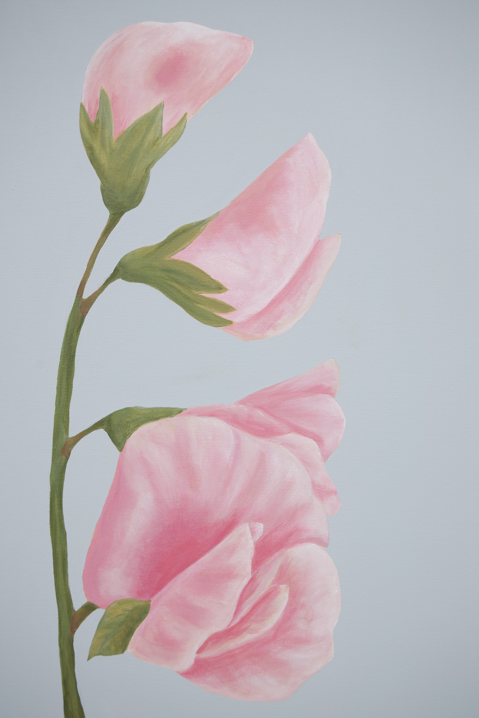 Sweet Peas for Gracie-3.jpg