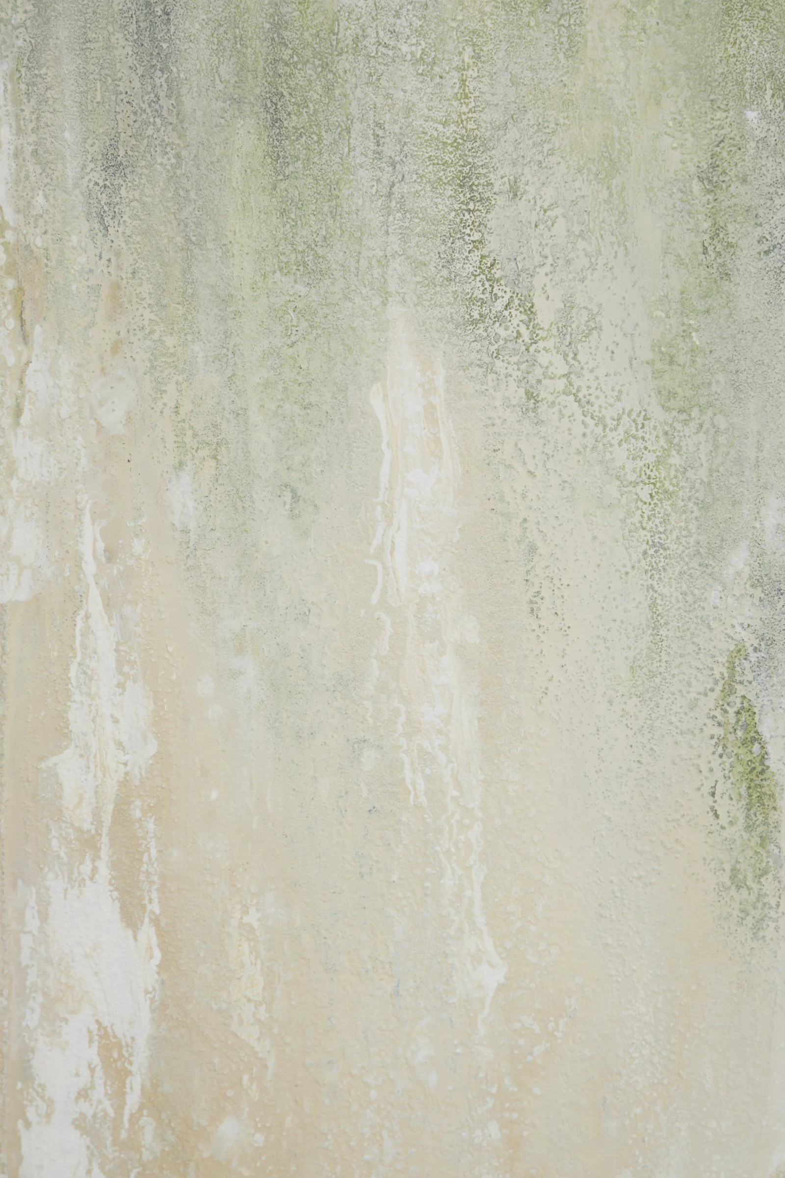 Soldier's Rest-4.jpg