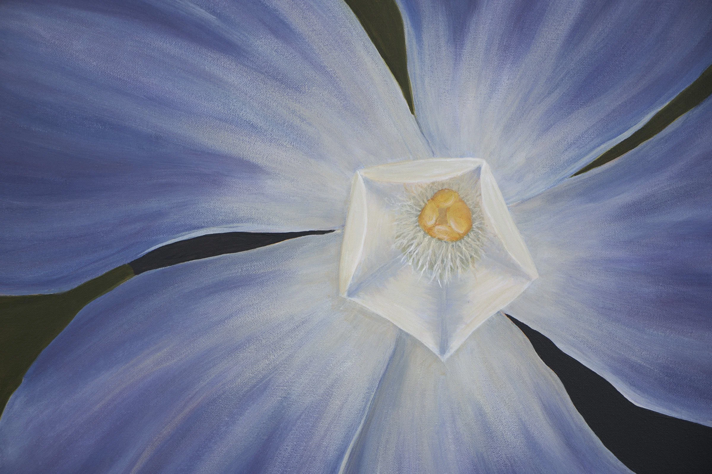 Along the Deerpath-4.jpg