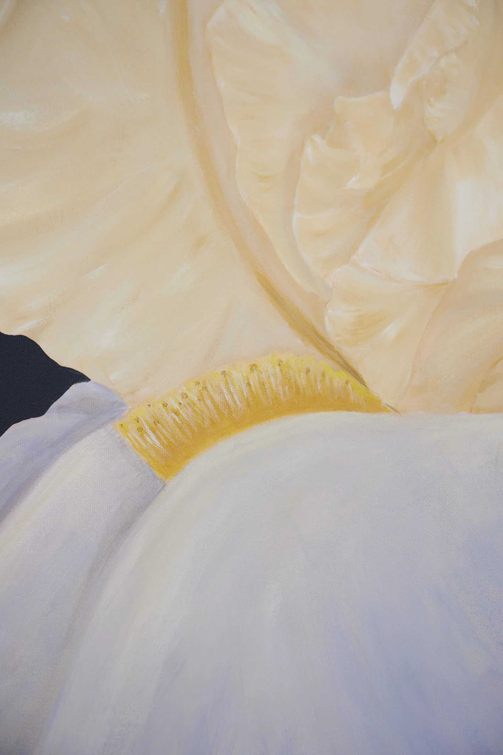 Eye of the Storm-2.jpg