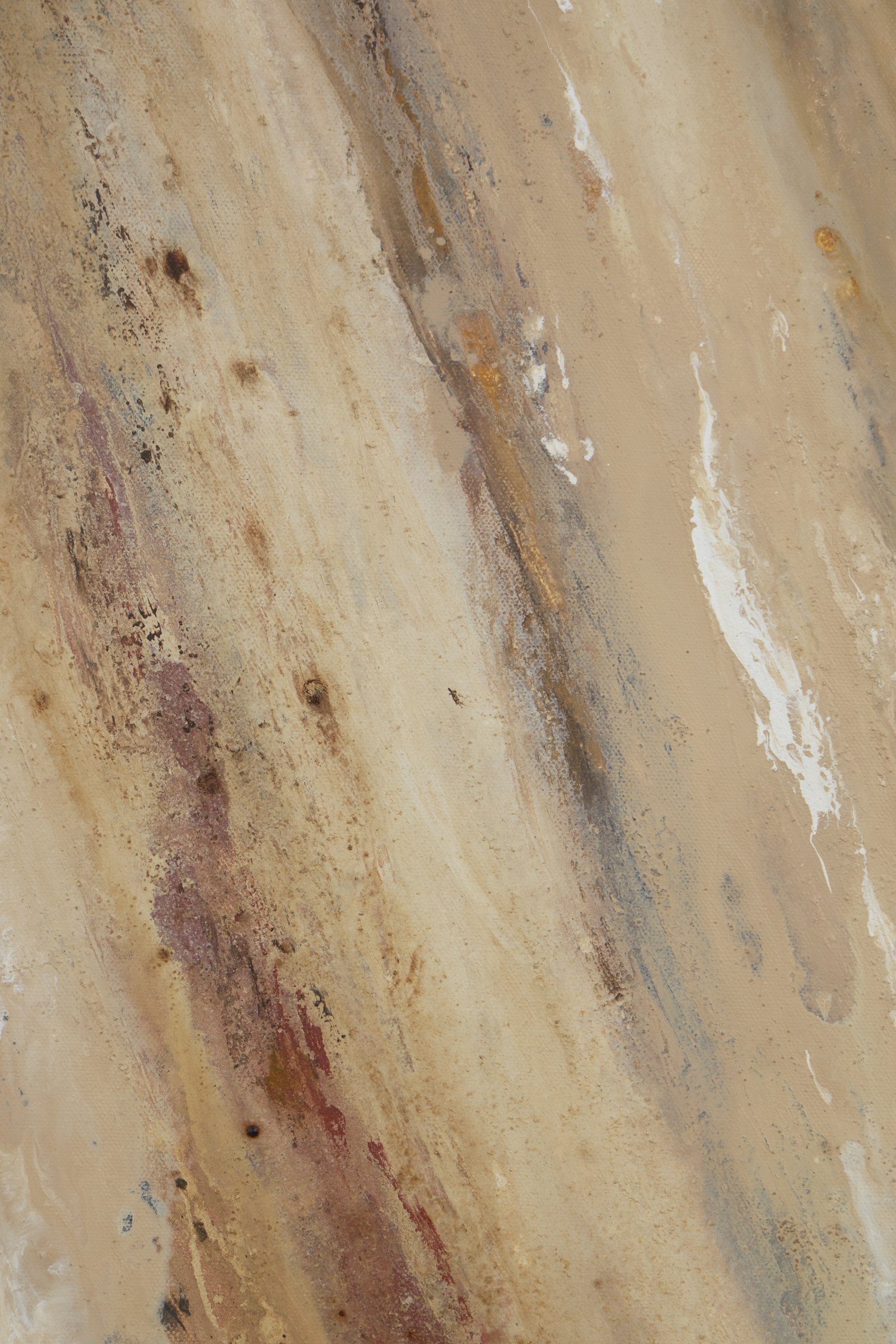 The Story She Keeps-5.jpg