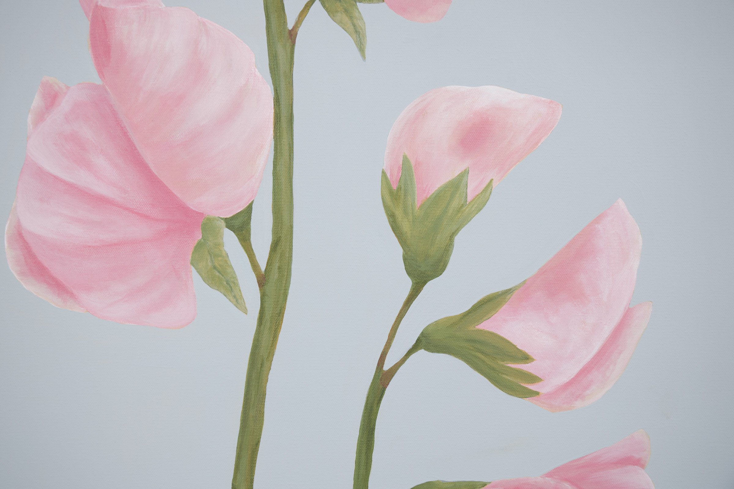 Sweet Peas for Gracie-5.jpg