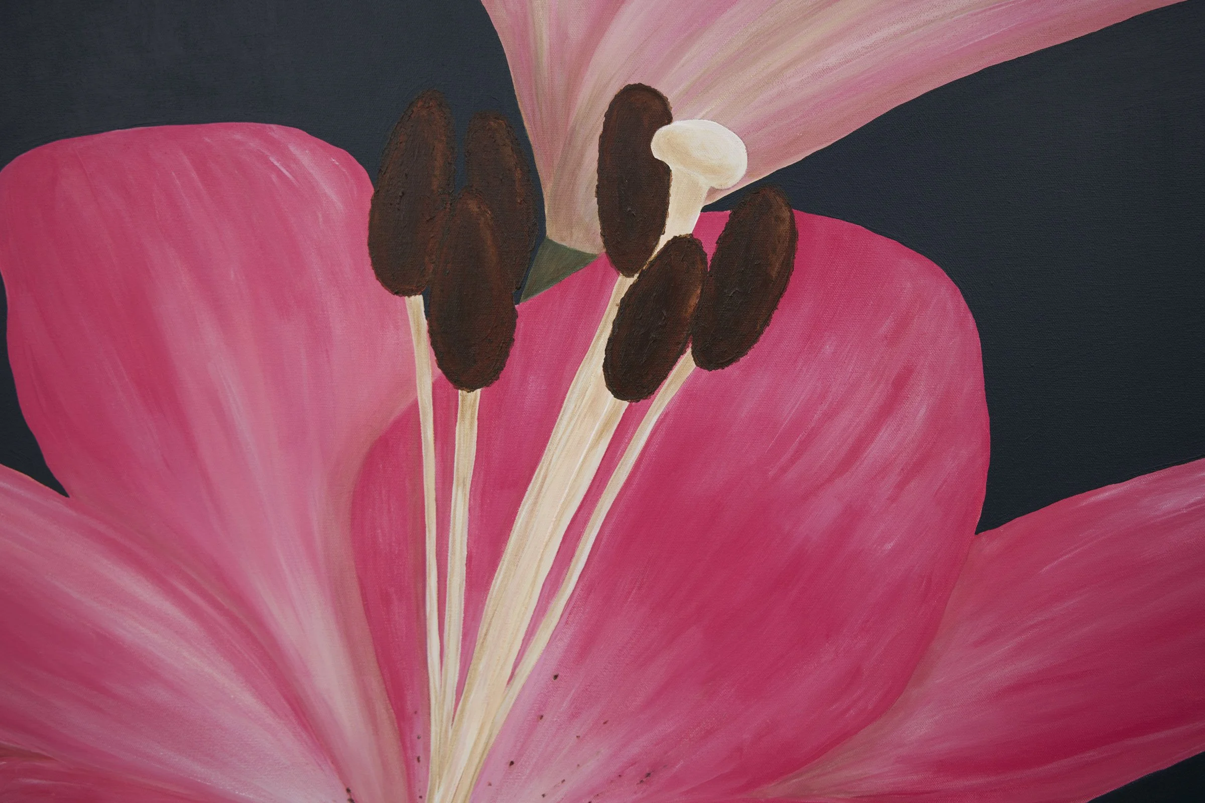 Summer Heralds-5.jpg