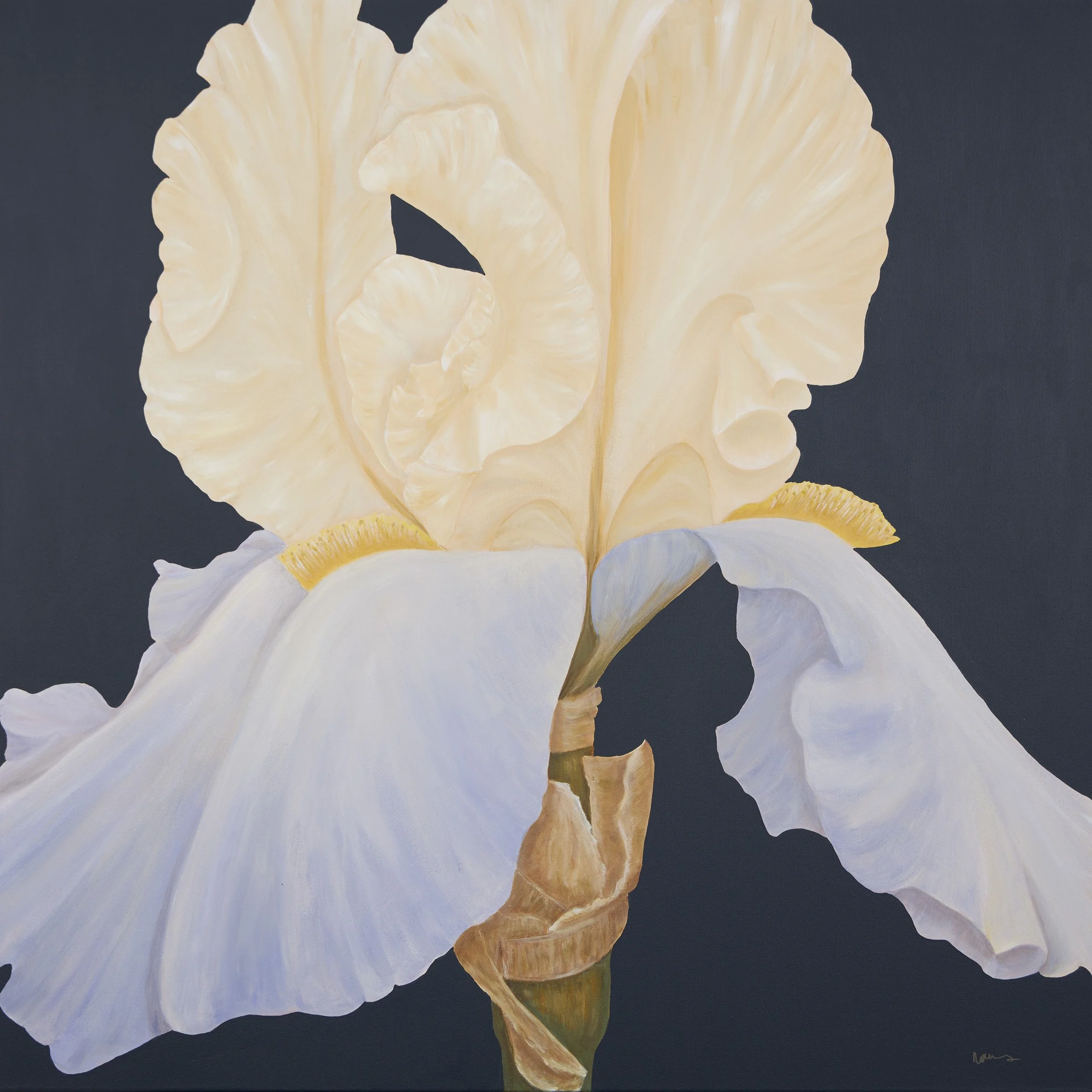 Eye of the Storm - Unframed