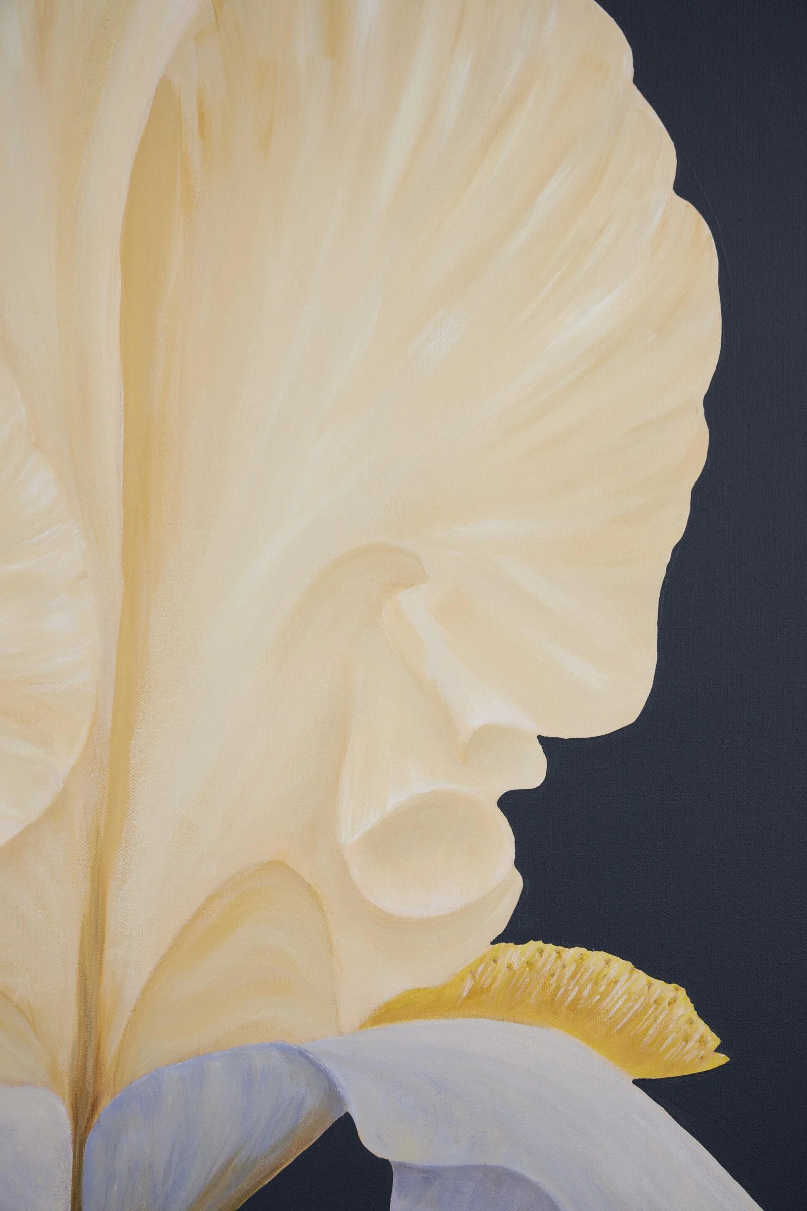 Eye of the Storm-6.jpg