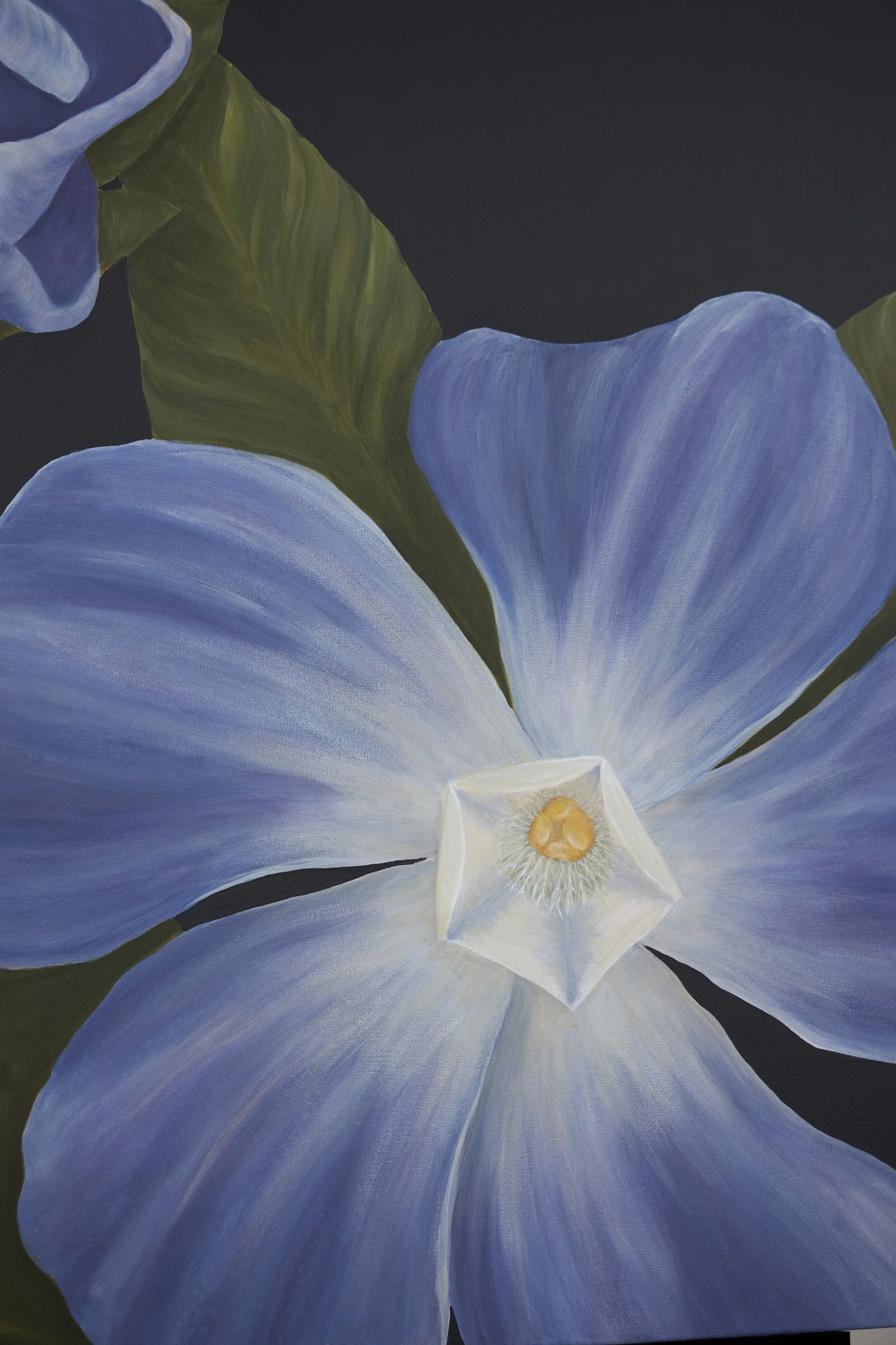 Along the Deerpath-7.jpg