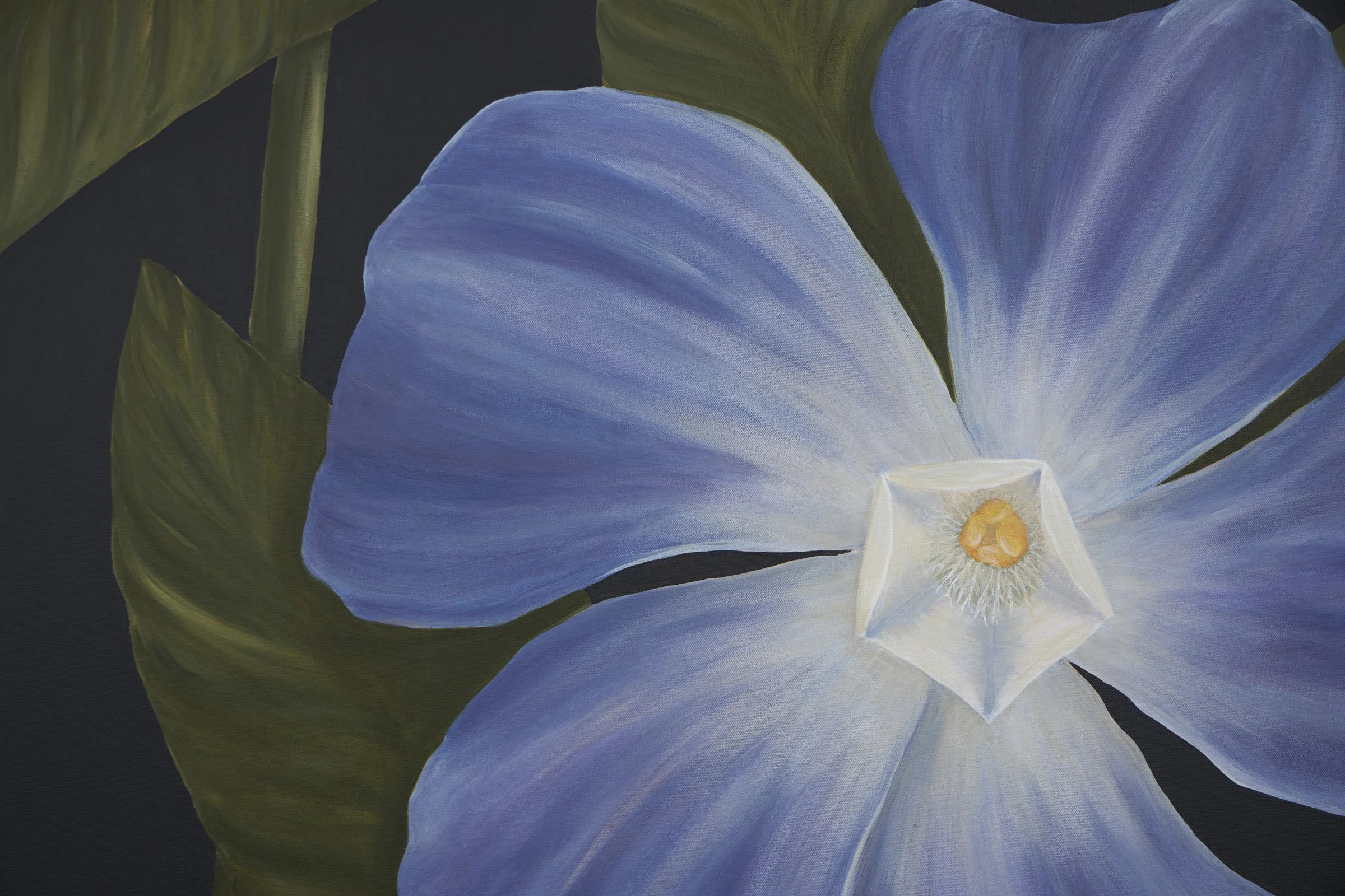 Along the Deerpath-8.jpg