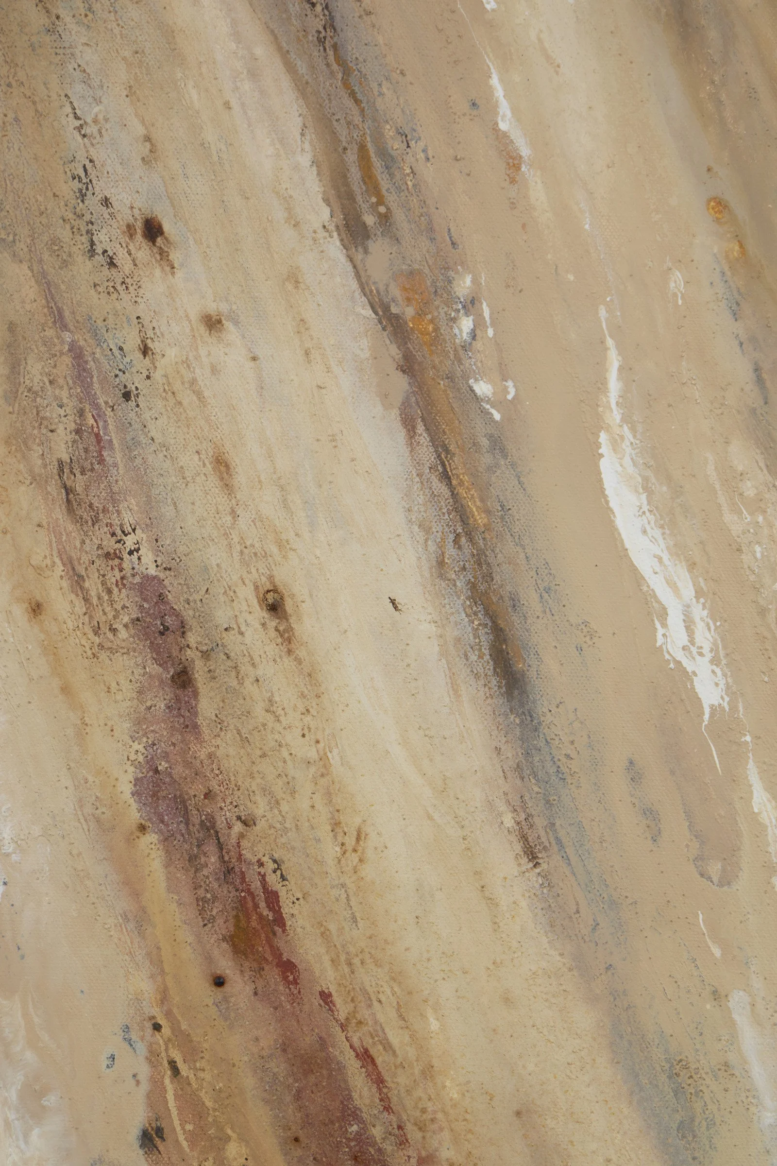 The Story She Keeps-5.jpg