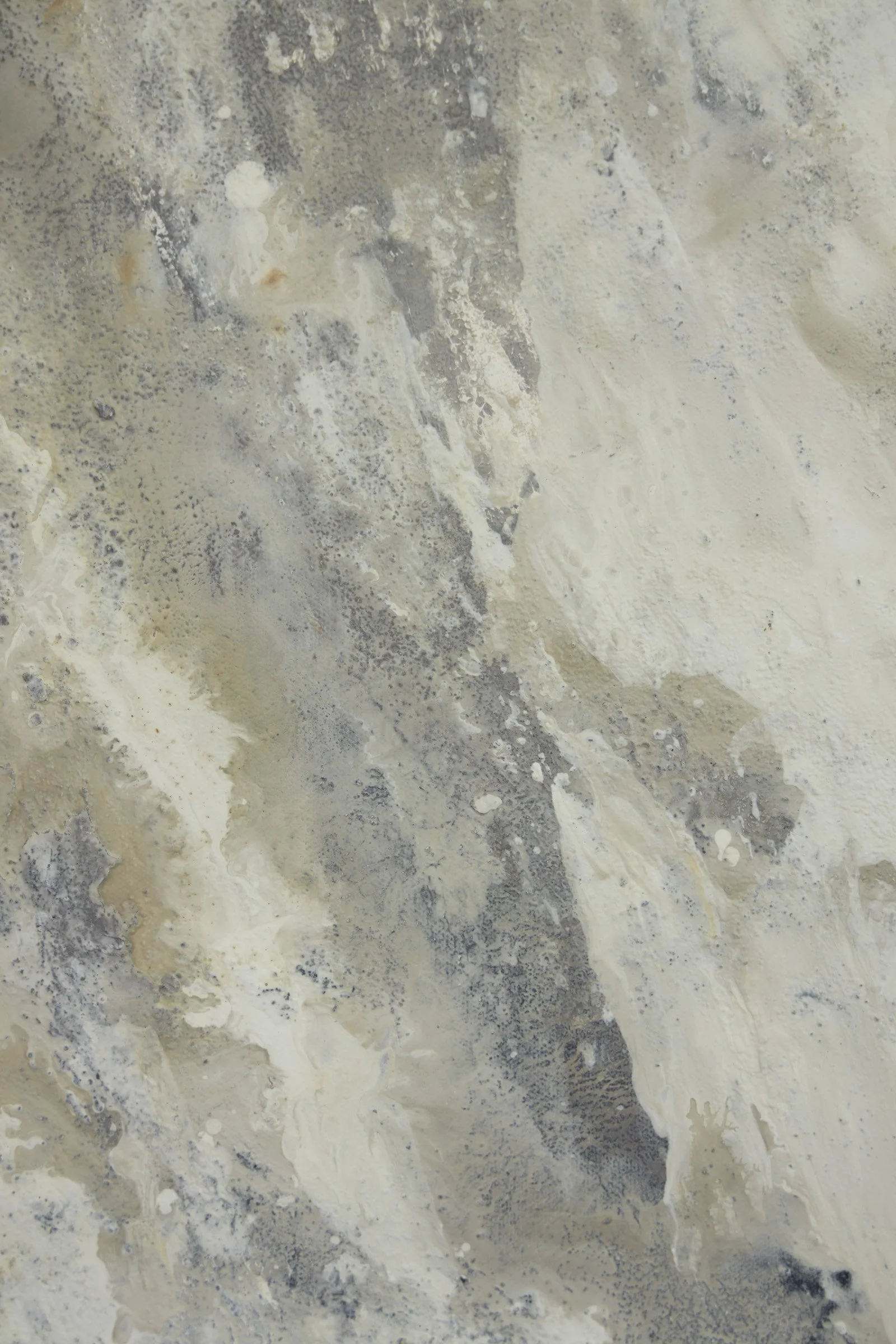 Little One Lost-9.jpg